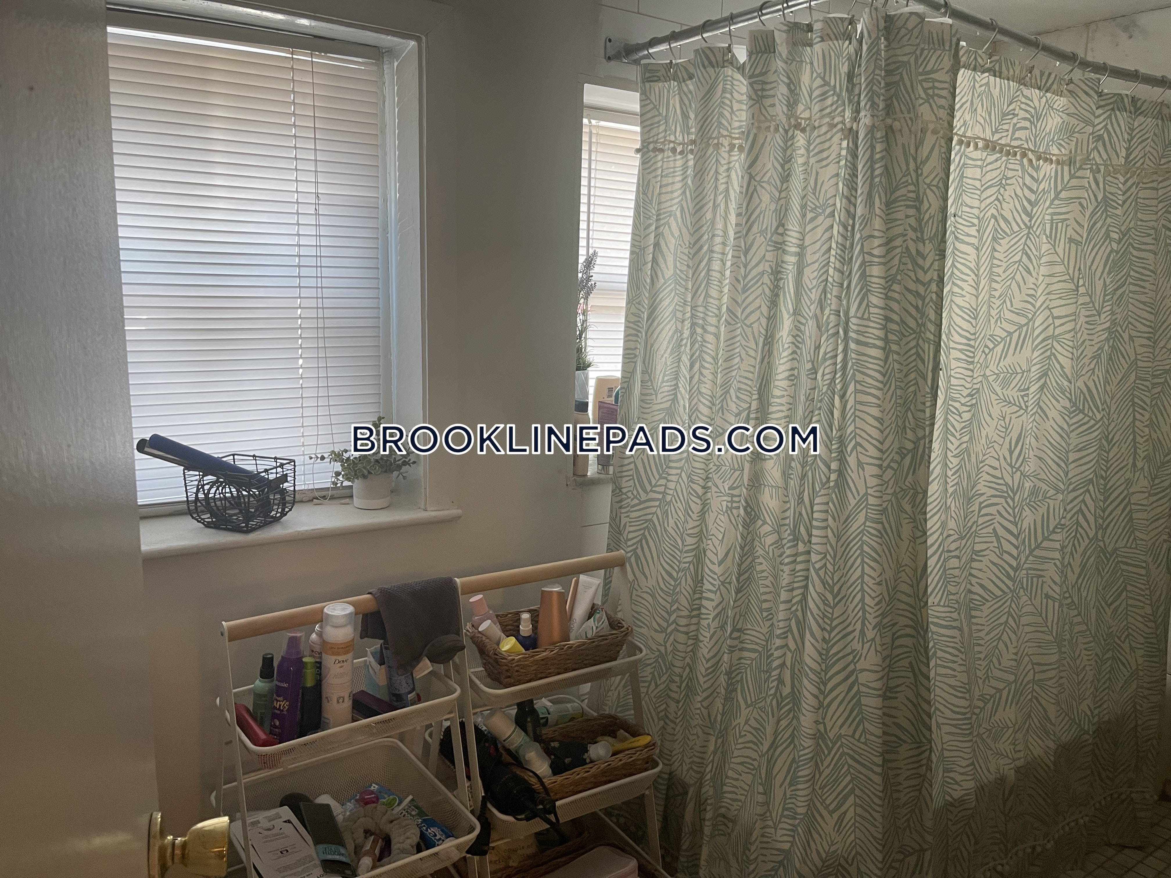 1748 Beacon St, Washington Square