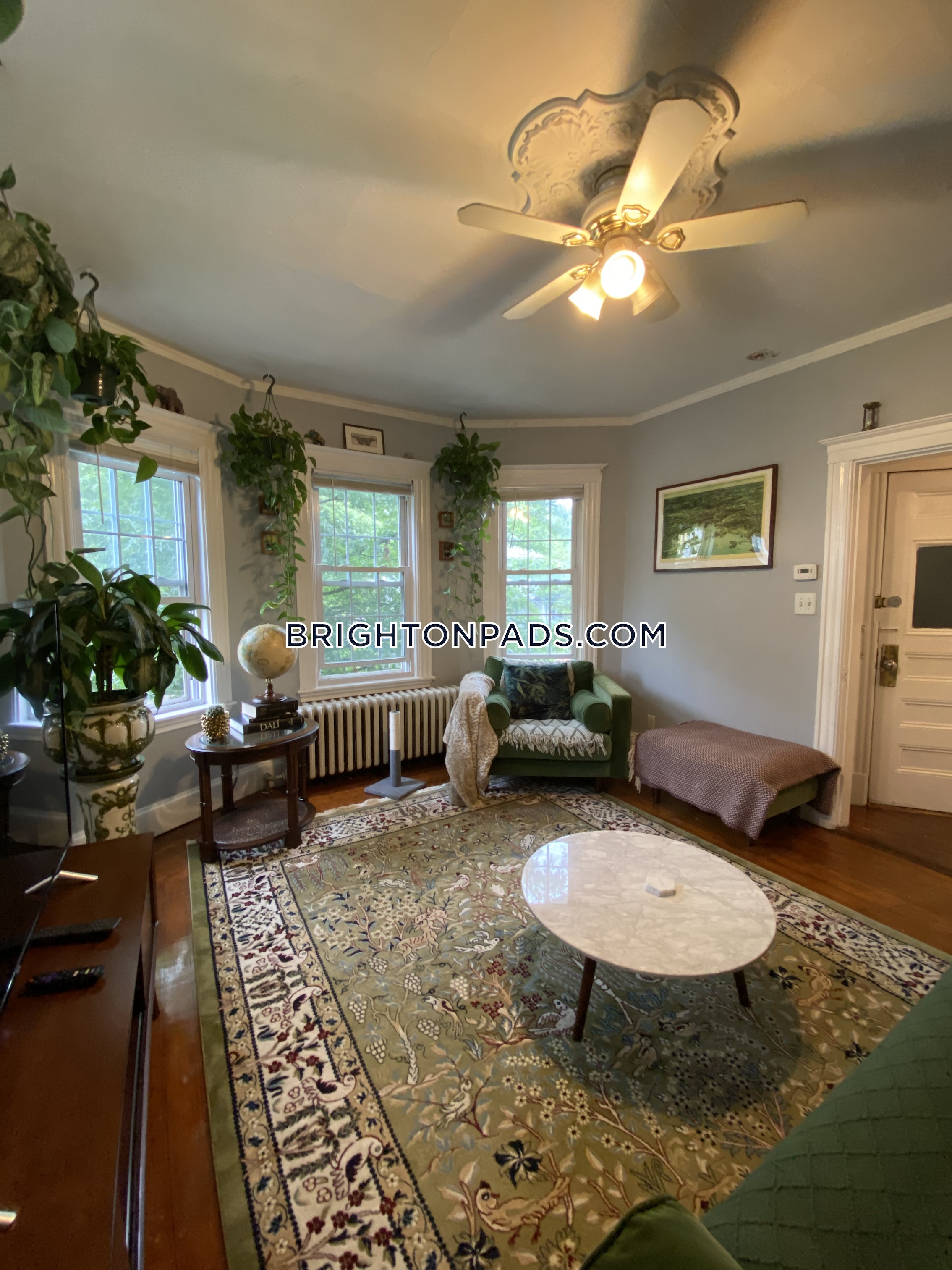 78 Brooks St, Brighton