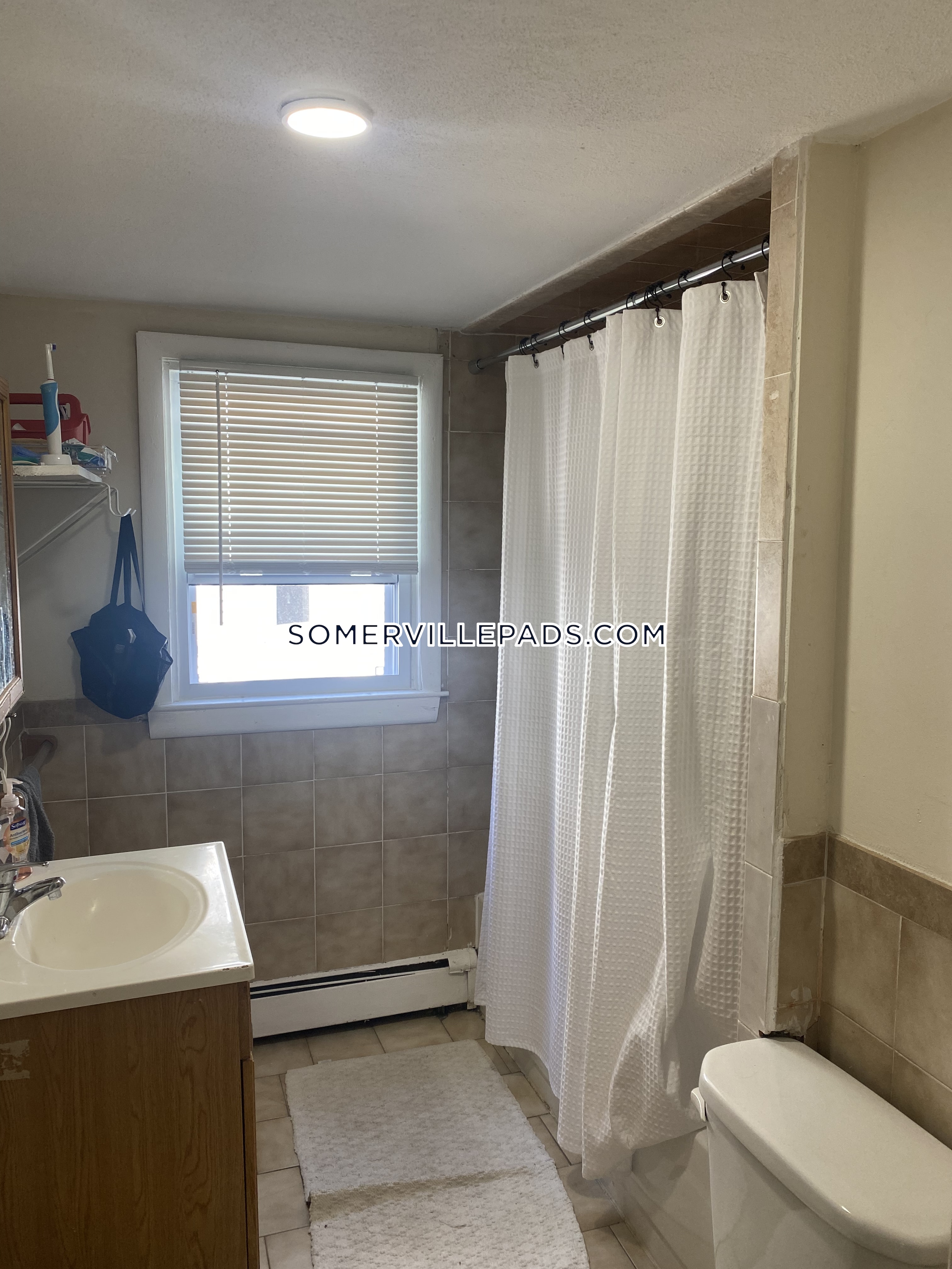 167 College Ave, Davis Square