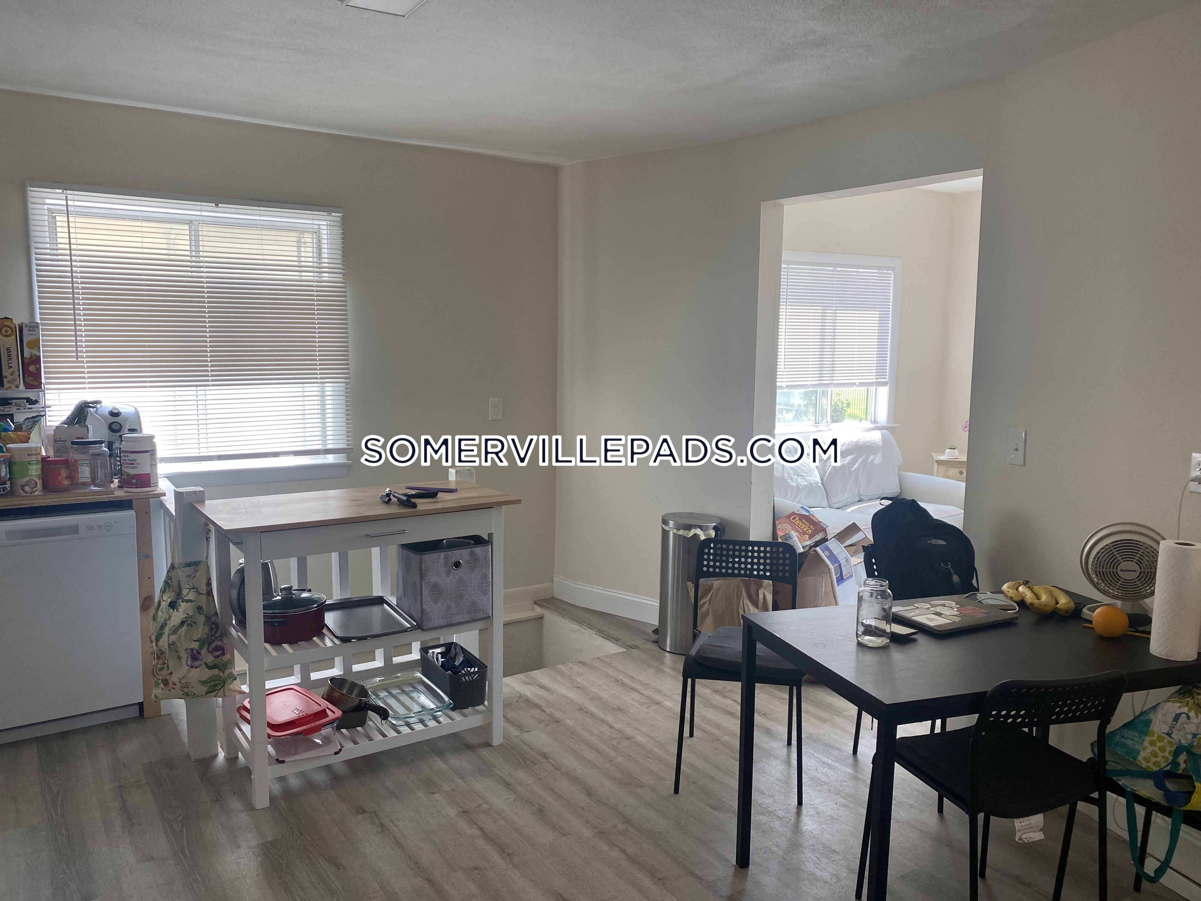 167 College Ave, Davis Square