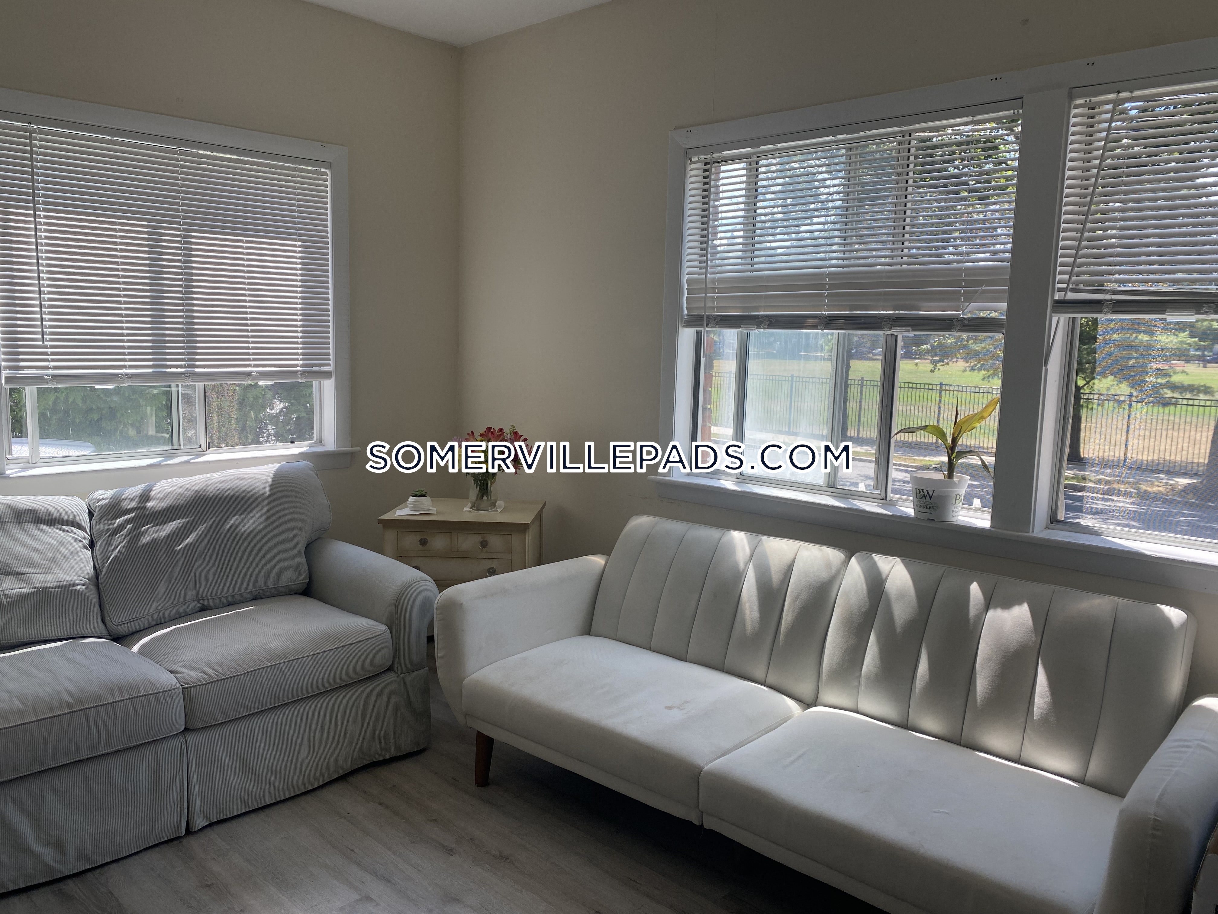 167 College Ave, Davis Square