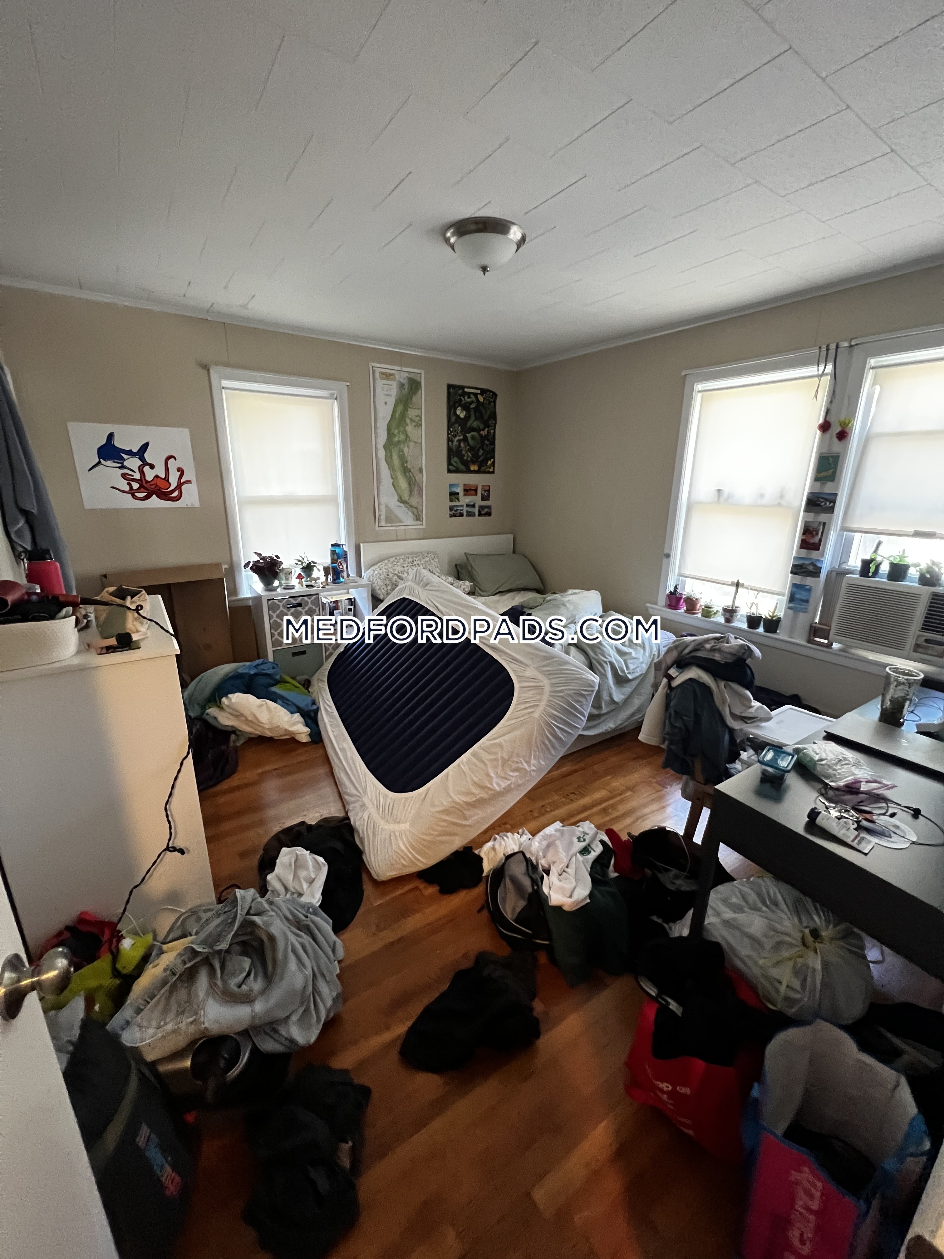 288 Boston Ave, Tufts University