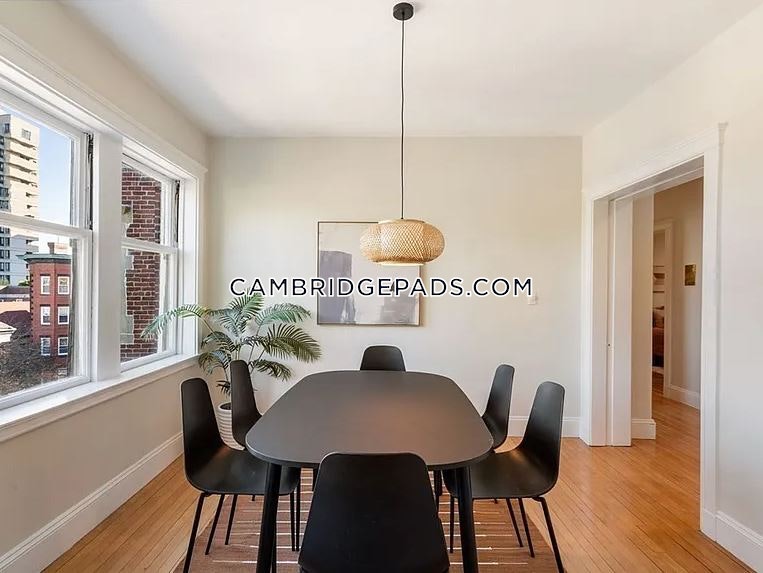 10 Dana St, Harvard Square