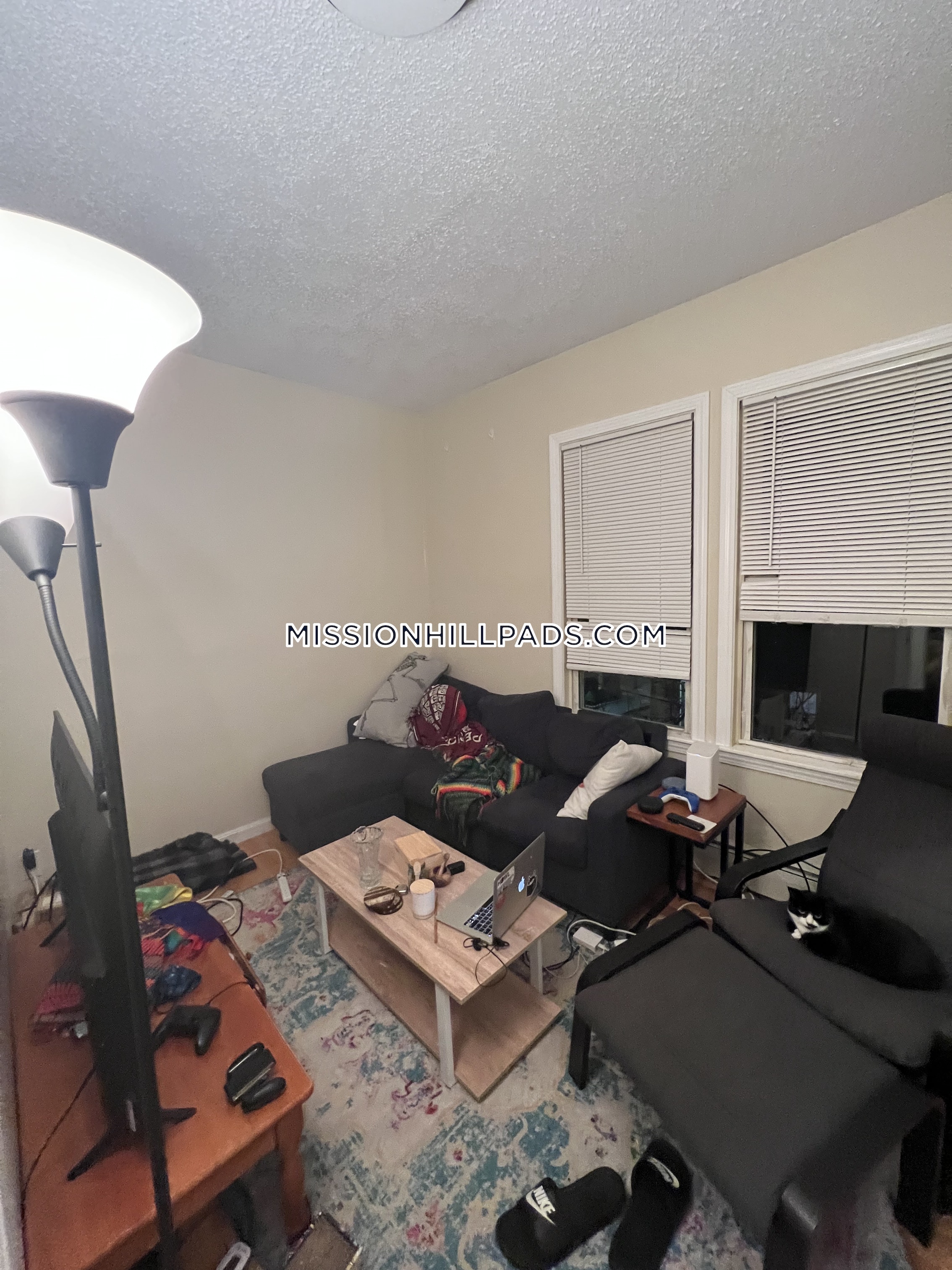 6 Bickford Ave, Mission Hill