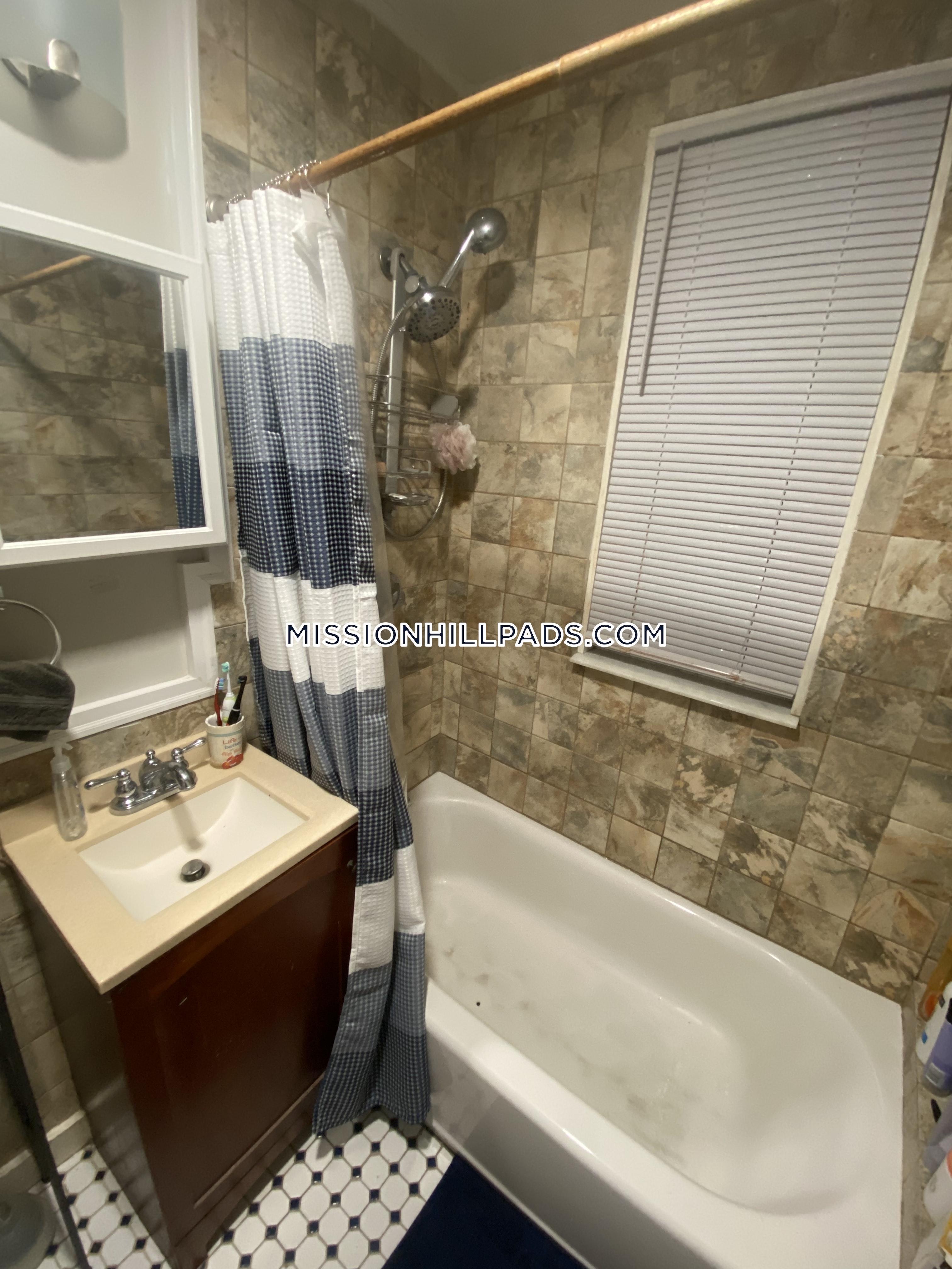 12 Bucknam St, Mission Hill