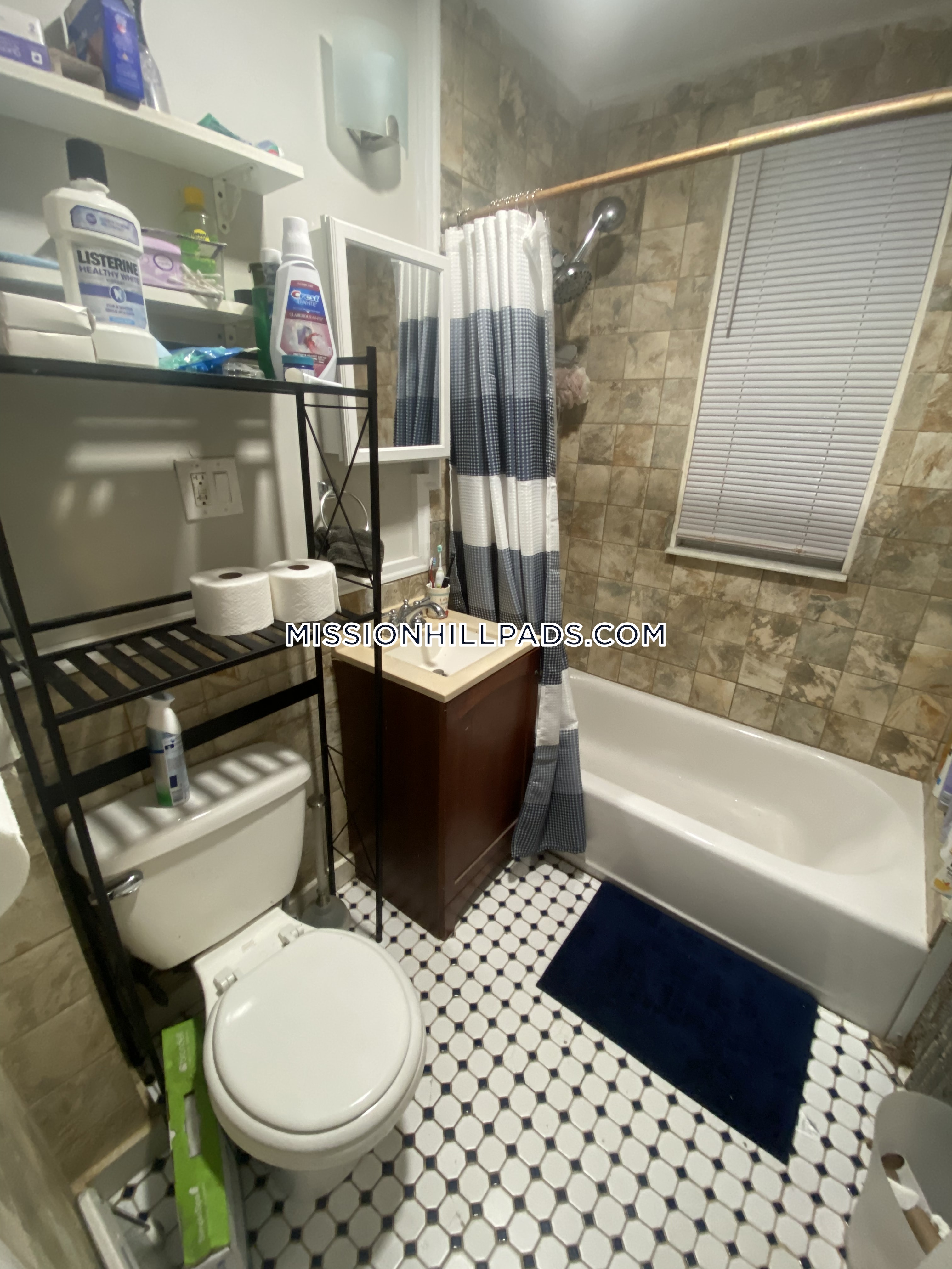 12 Bucknam St, Mission Hill