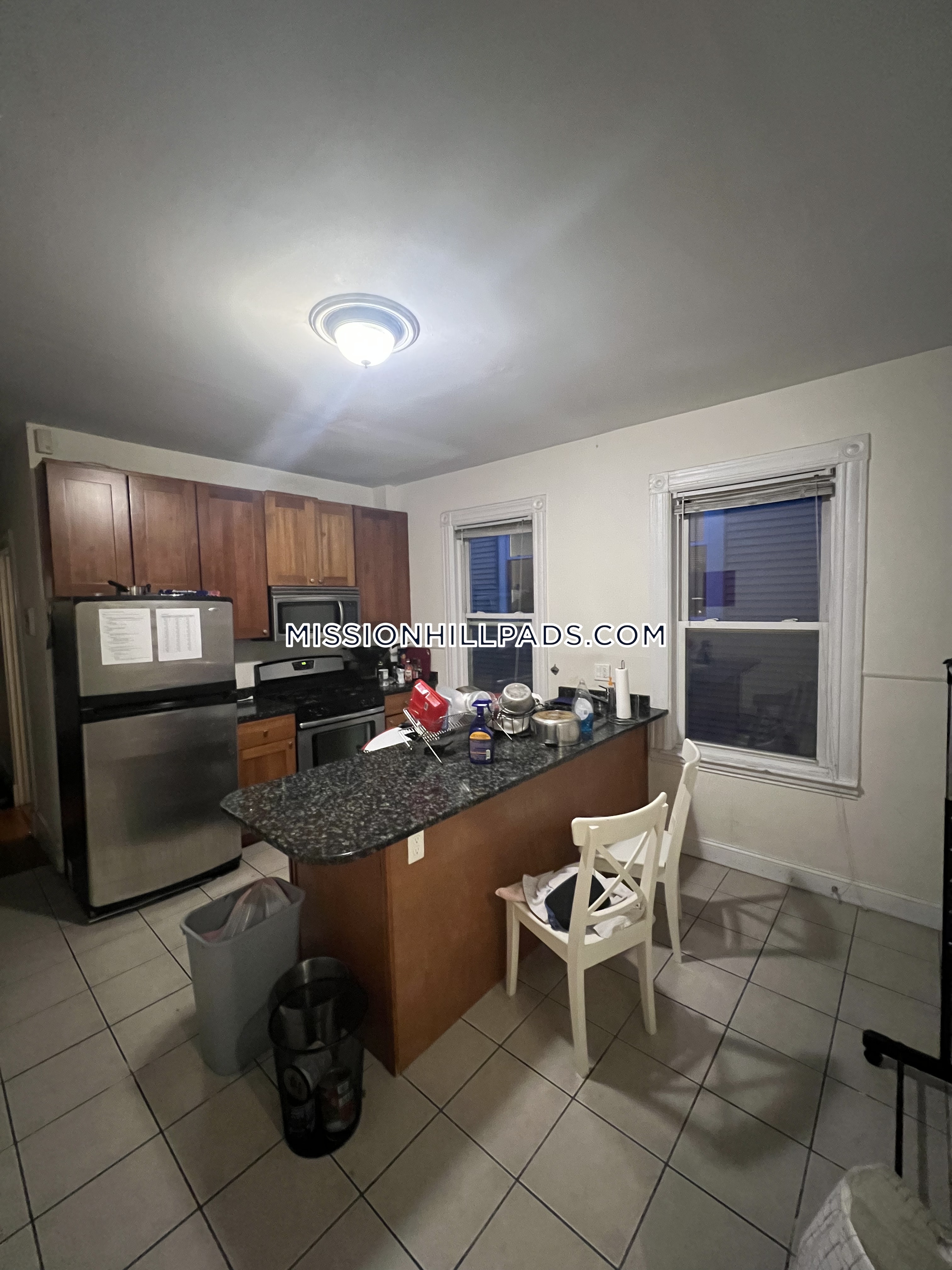 17 Sachem St, Mission Hill