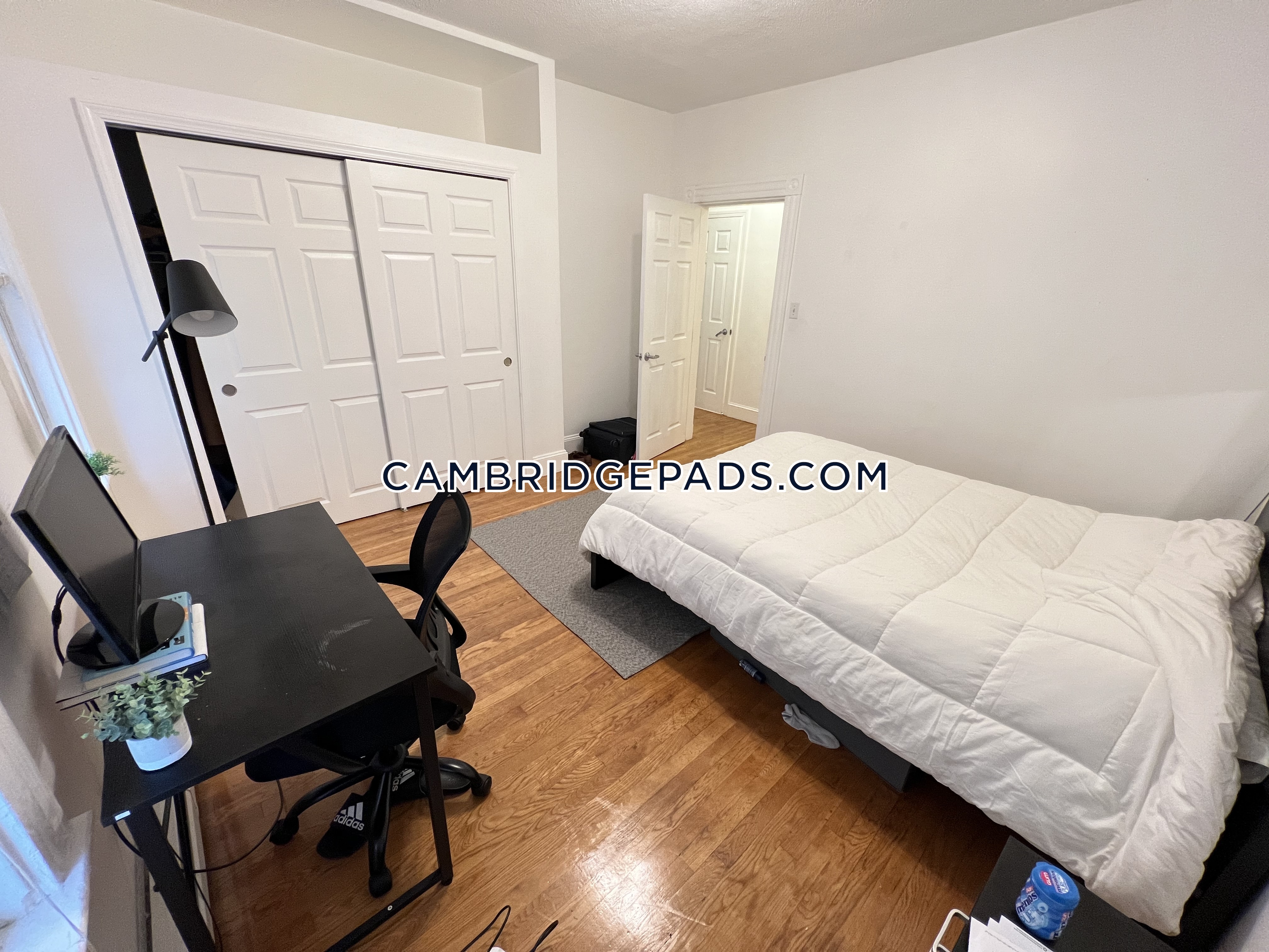 28 Marney St, Kendall Square