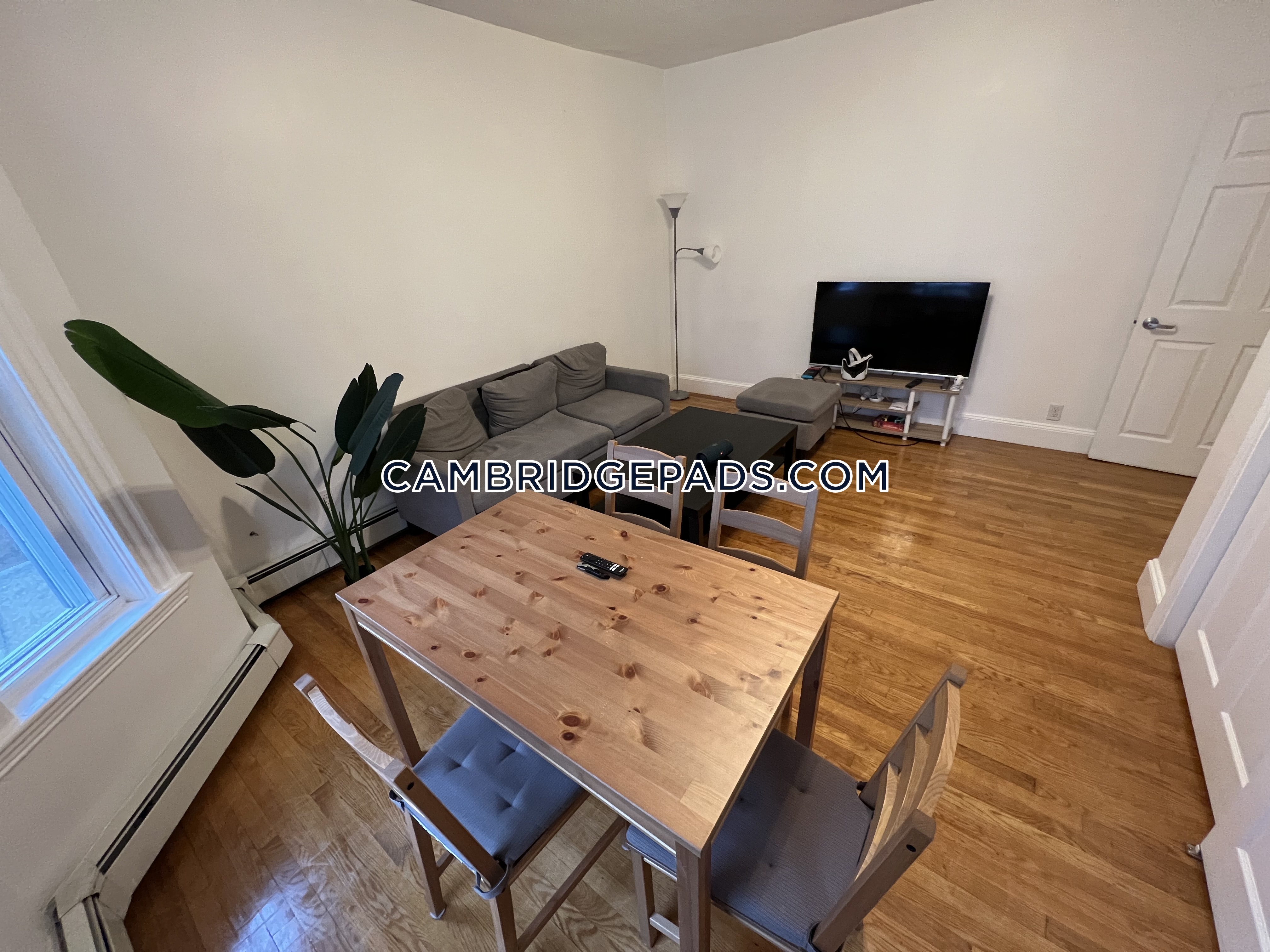 28 Marney St, Kendall Square