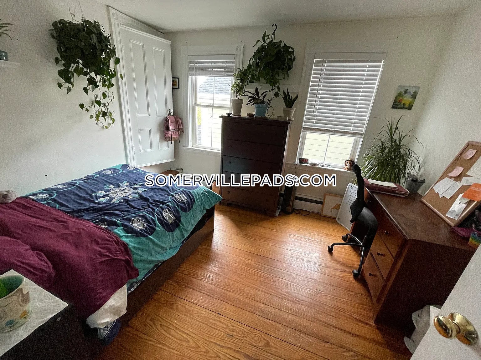 5 Durham St, Inman Square