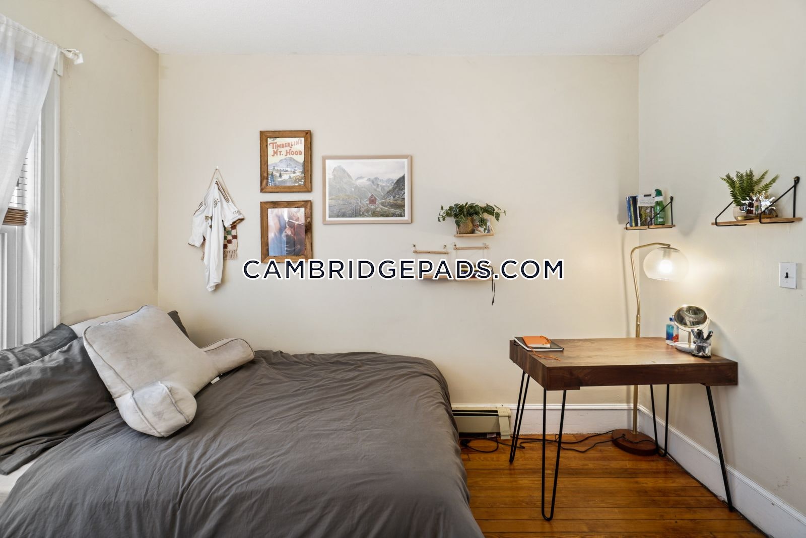 10 Clary St, Inman Square