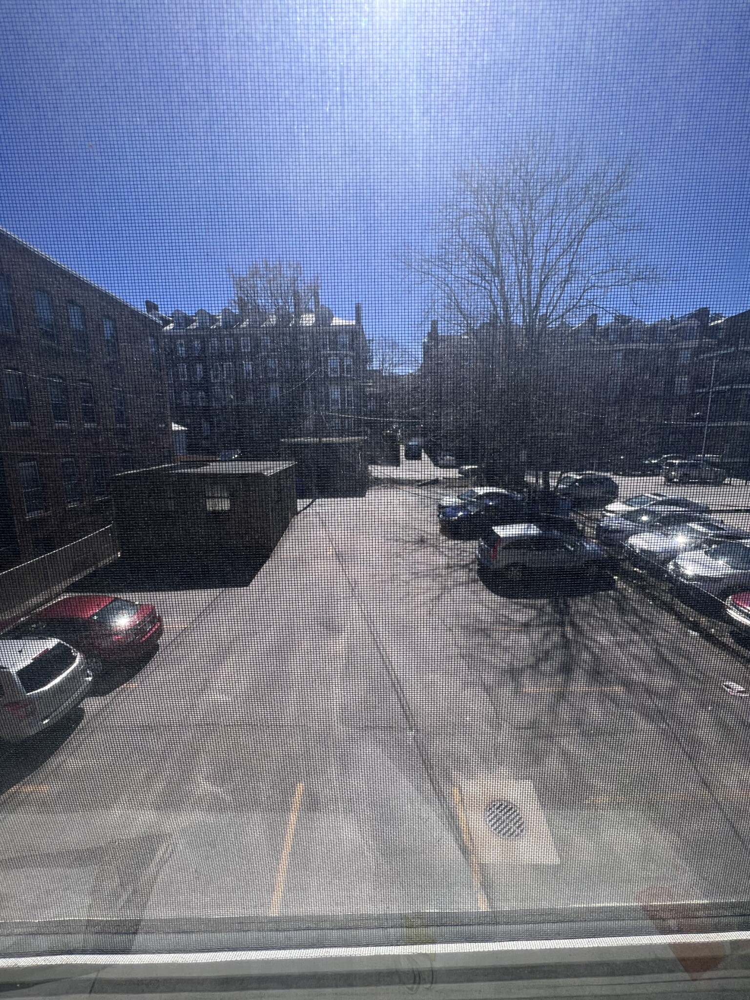 1685 Beacon St, Washington Square