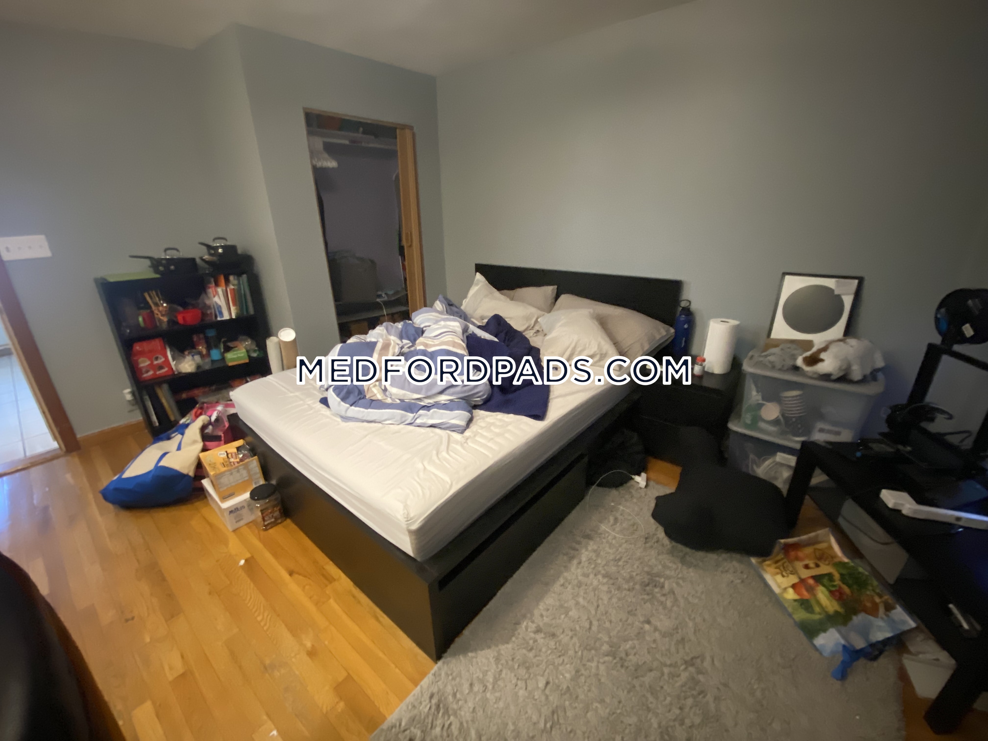 107 North St, Tufts University