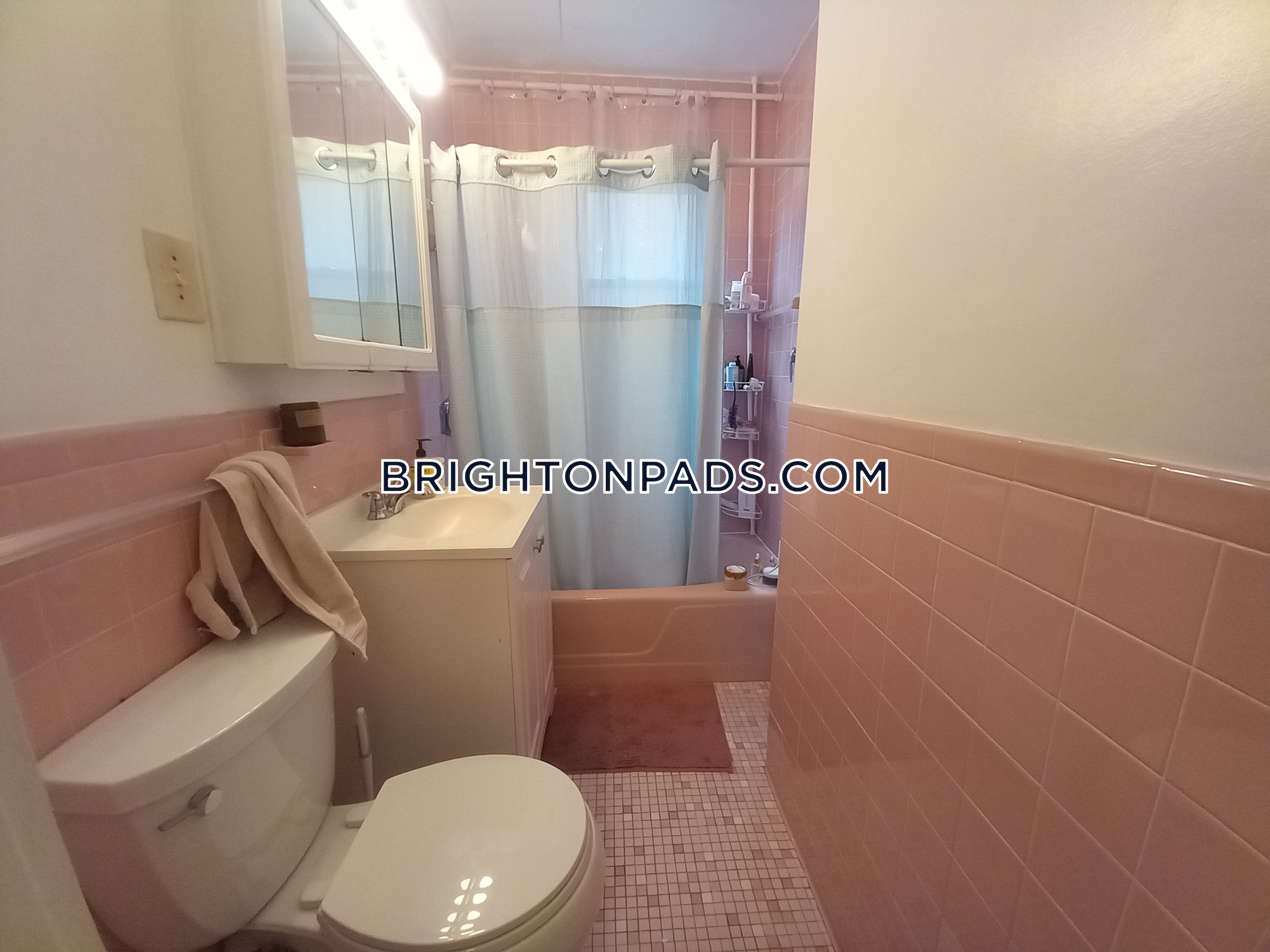 6 Mapleton St, Brighton