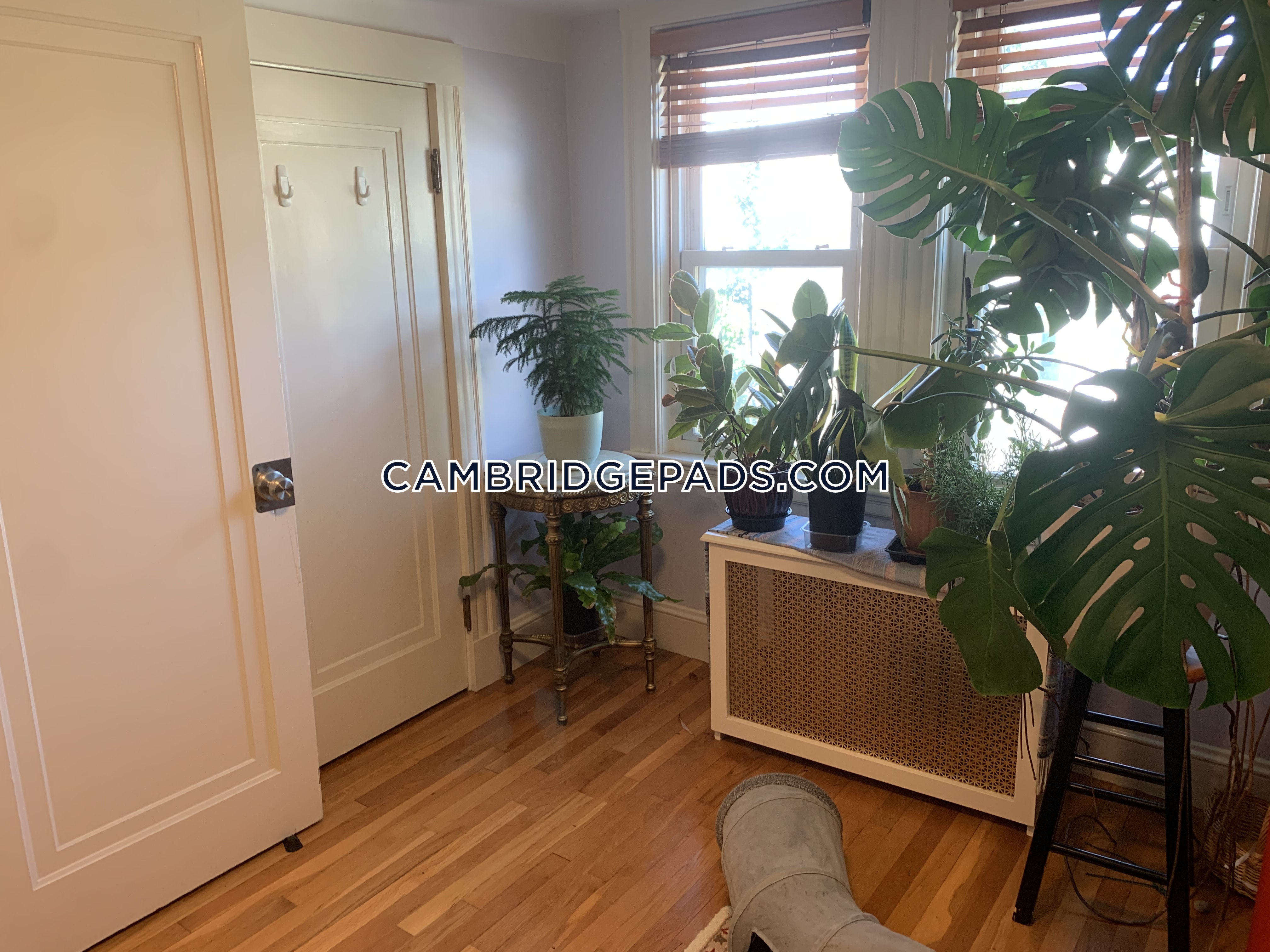 18 Kimball St, North Cambridge