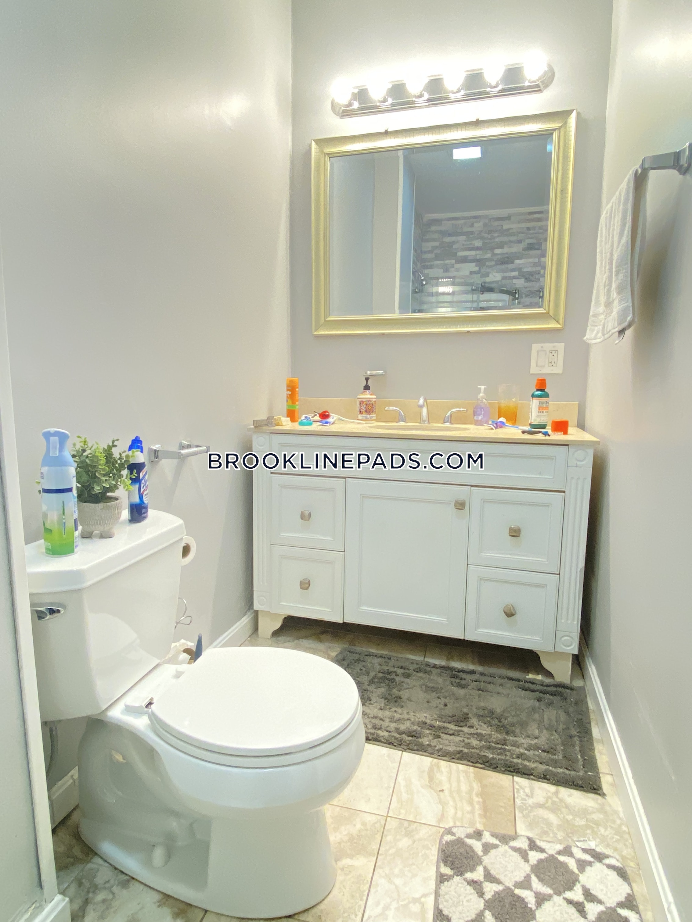 1440 Beacon St, Chestnut Hill