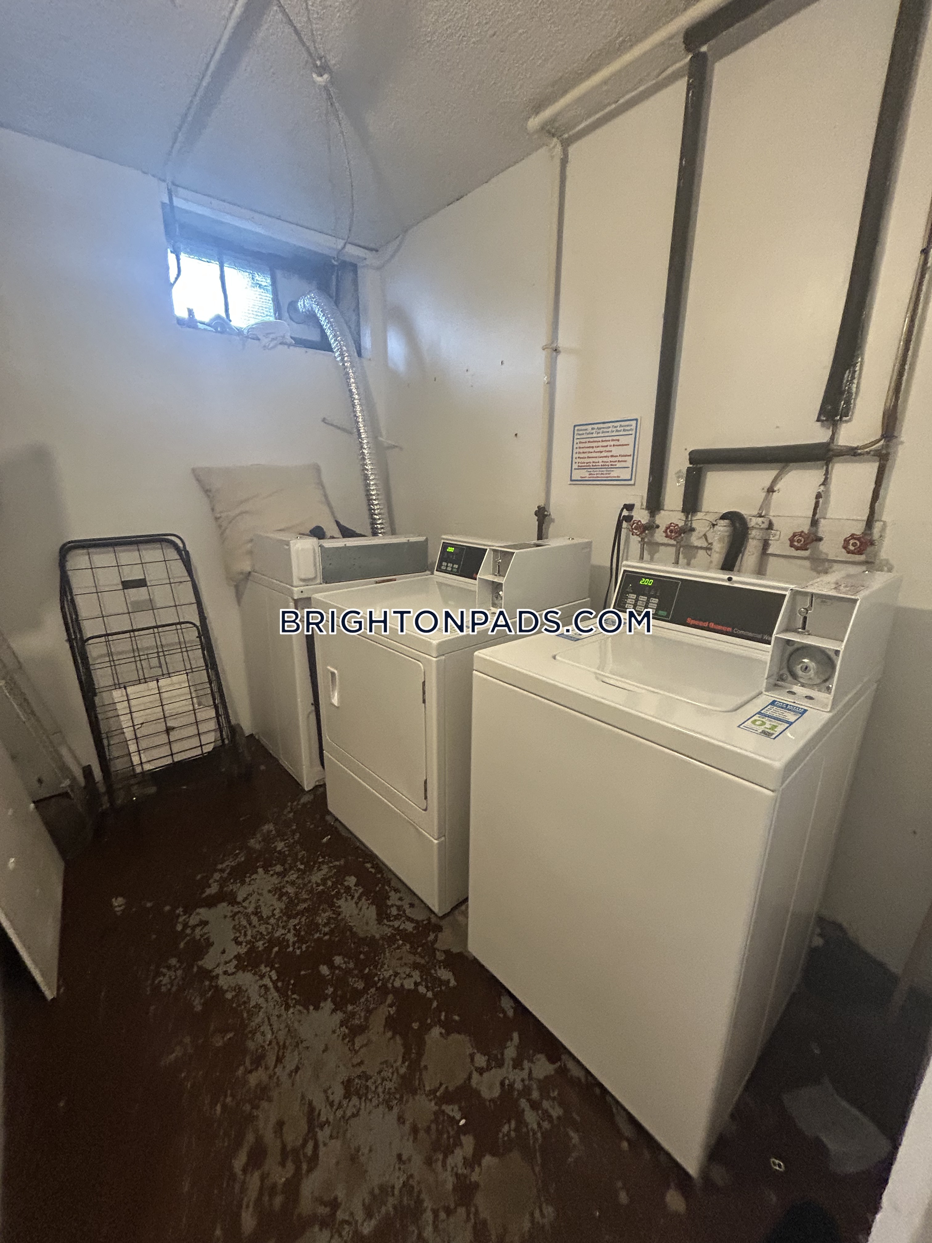 1789 Commonwealth Ave, Brighton