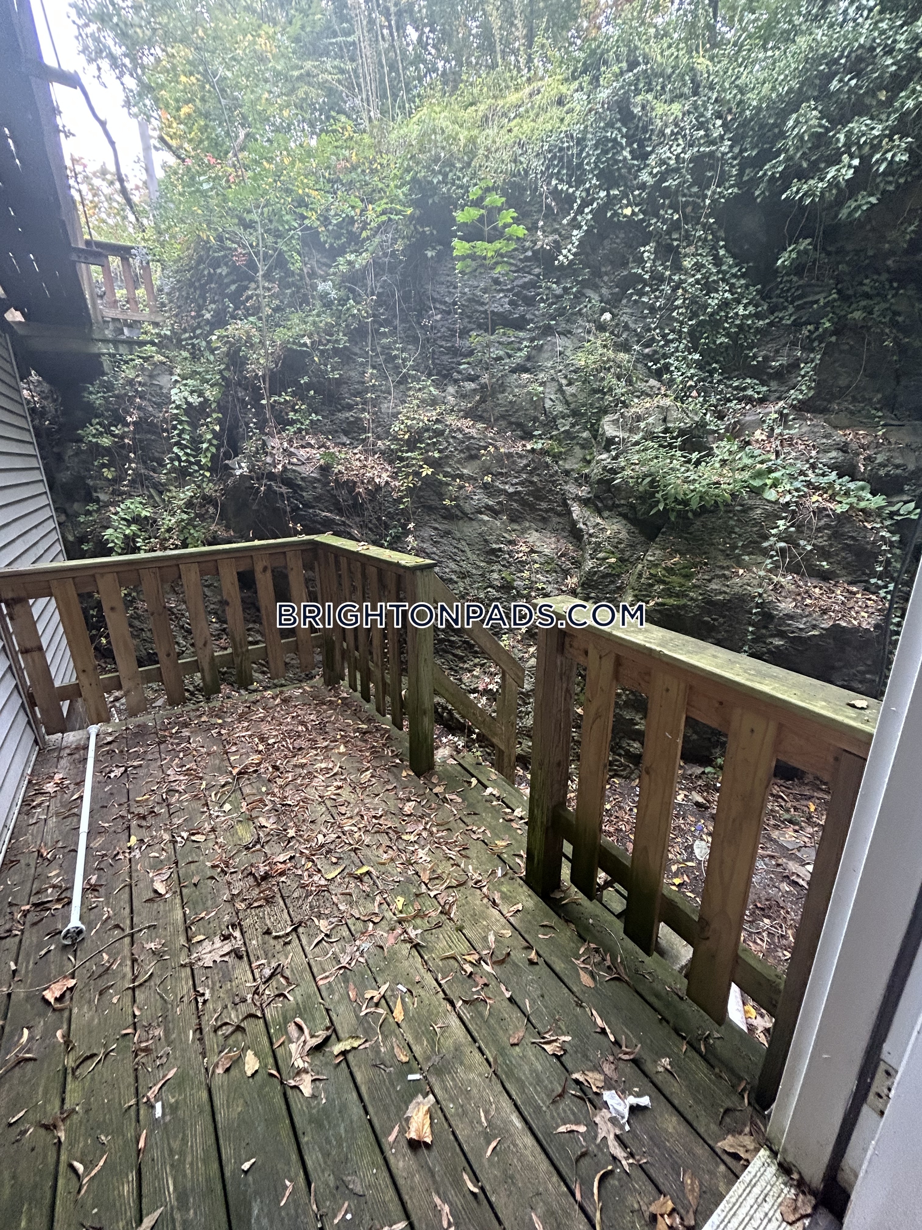 1789 Commonwealth Ave, Brighton