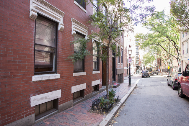 61 Myrtle St, Beacon Hill