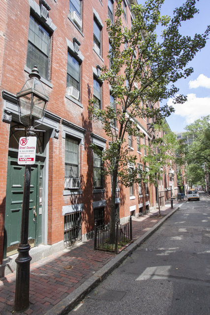 61 Myrtle St, Beacon Hill