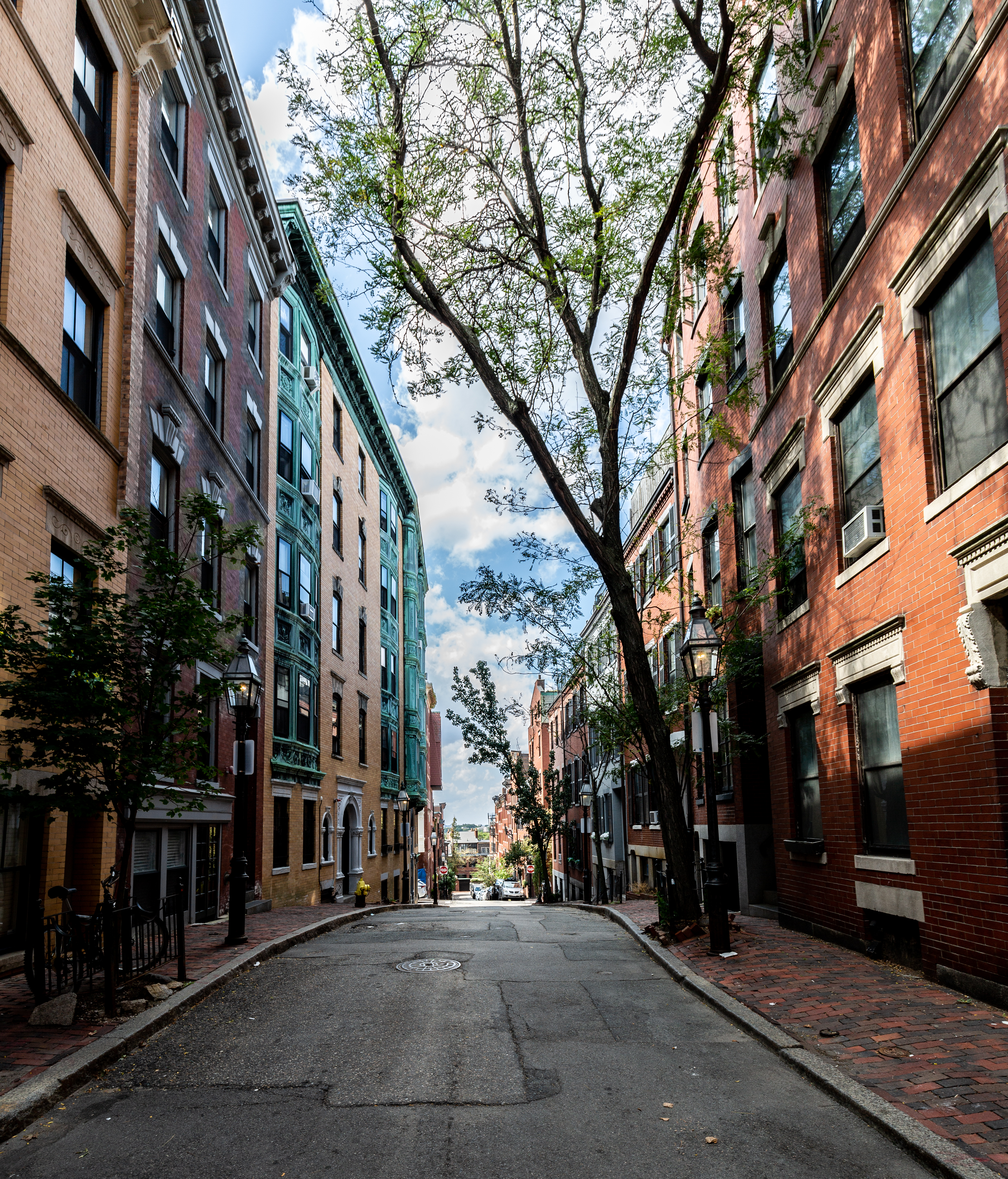 61 Myrtle St, Beacon Hill