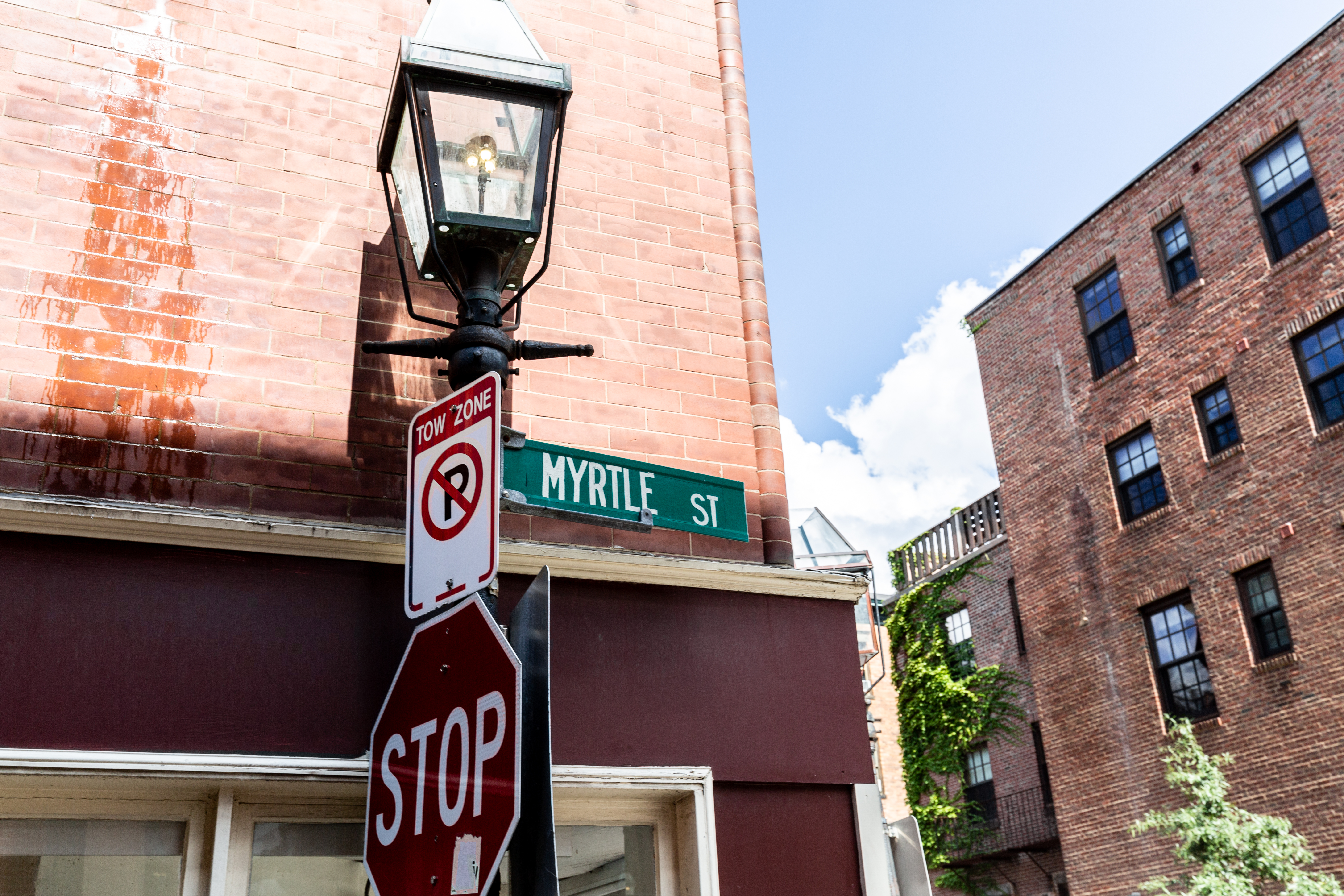 61 Myrtle St, Beacon Hill