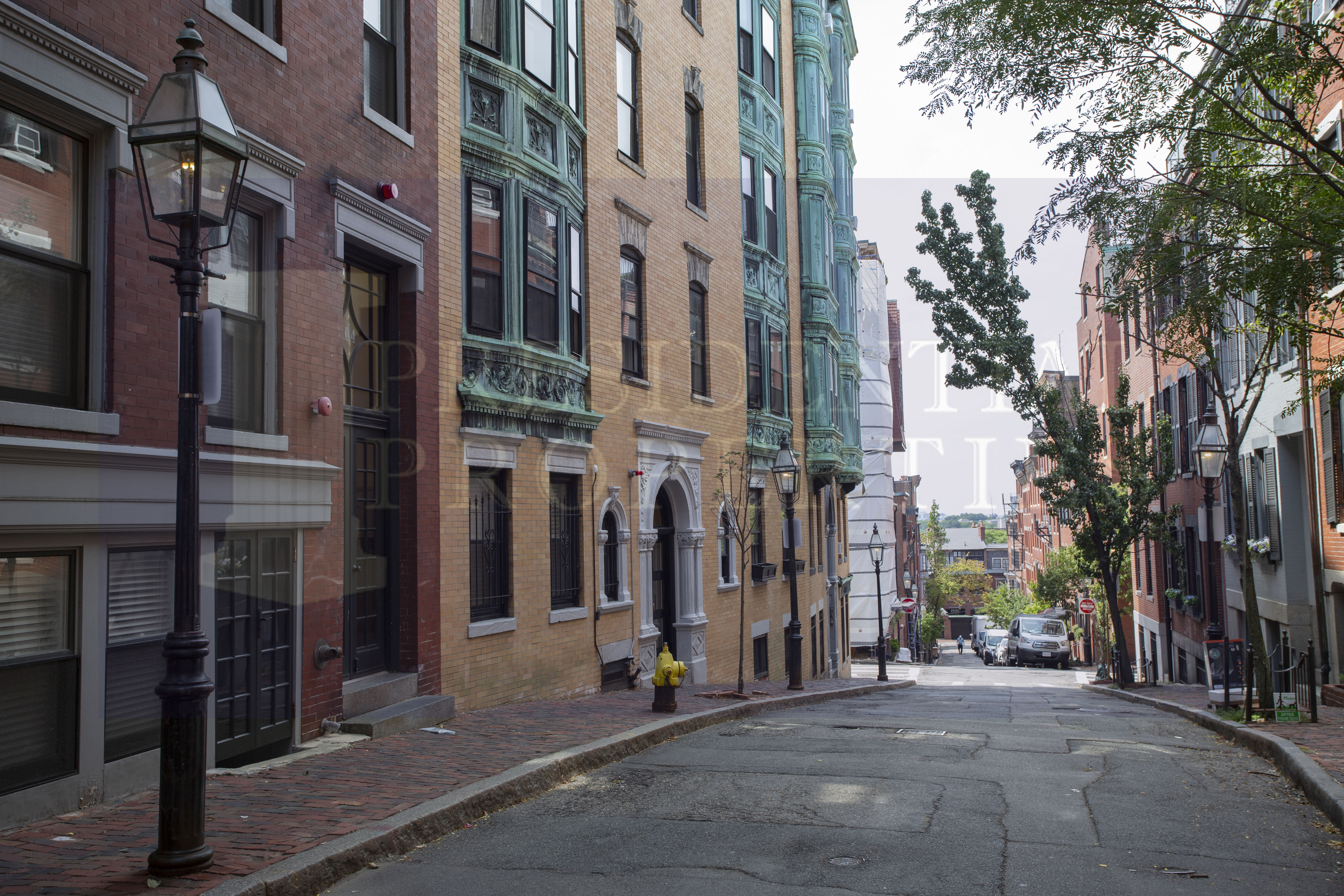 61 Myrtle St, Beacon Hill