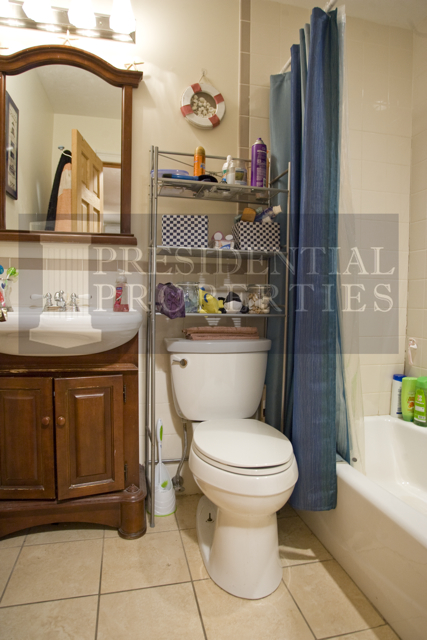 61 Anderson St, Beacon Hill