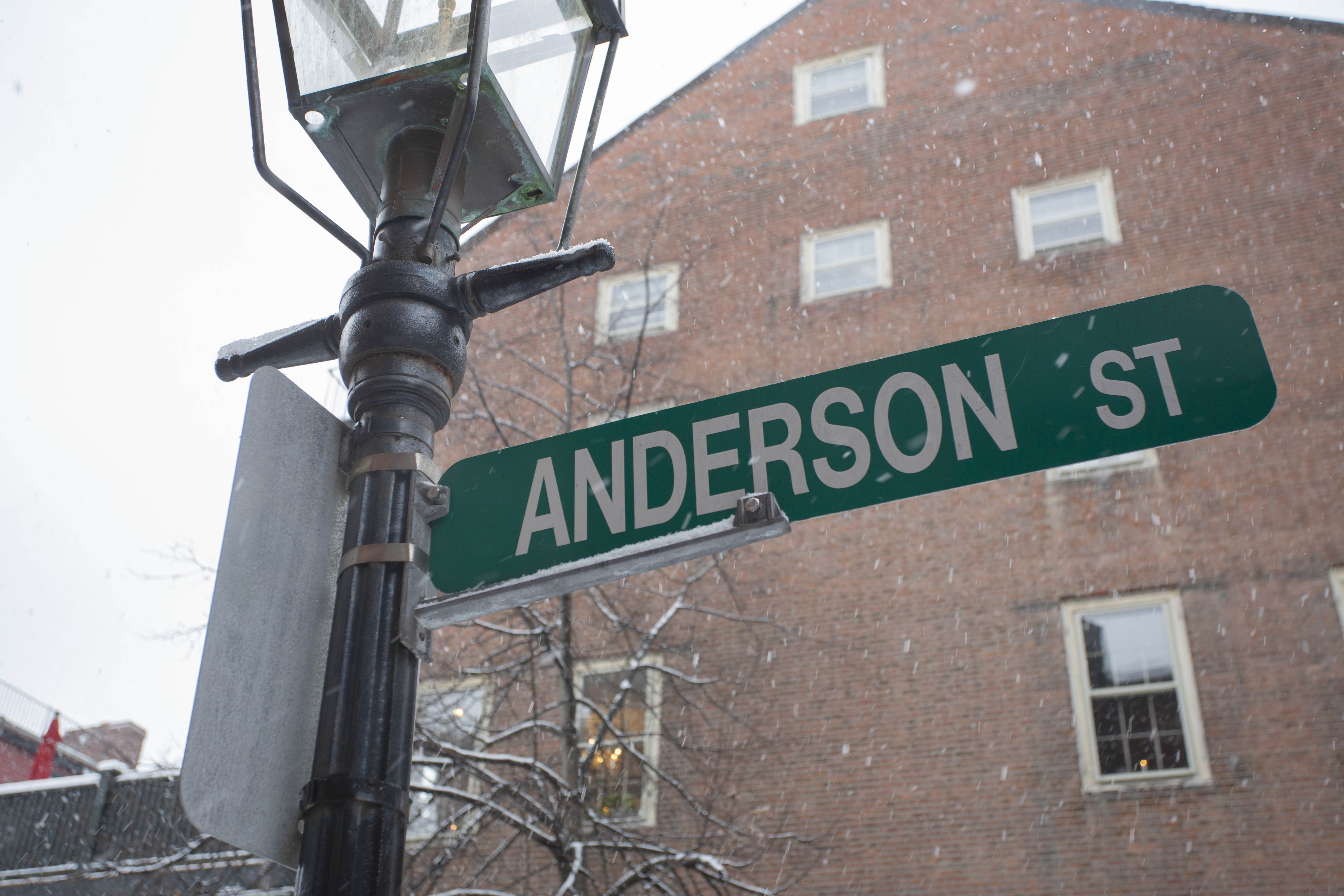 61 Anderson St, Beacon Hill