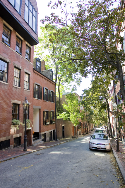 61 Anderson St, Beacon Hill