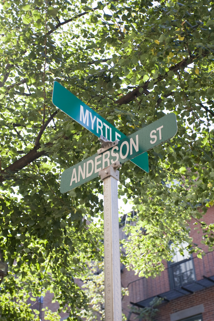 61 Anderson St, Beacon Hill