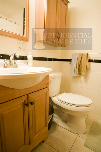 61 Anderson St, Beacon Hill