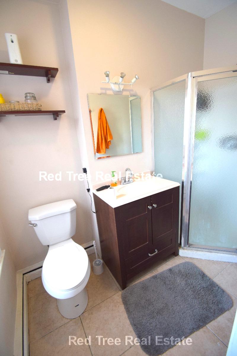 17 Mackin St, Brighton