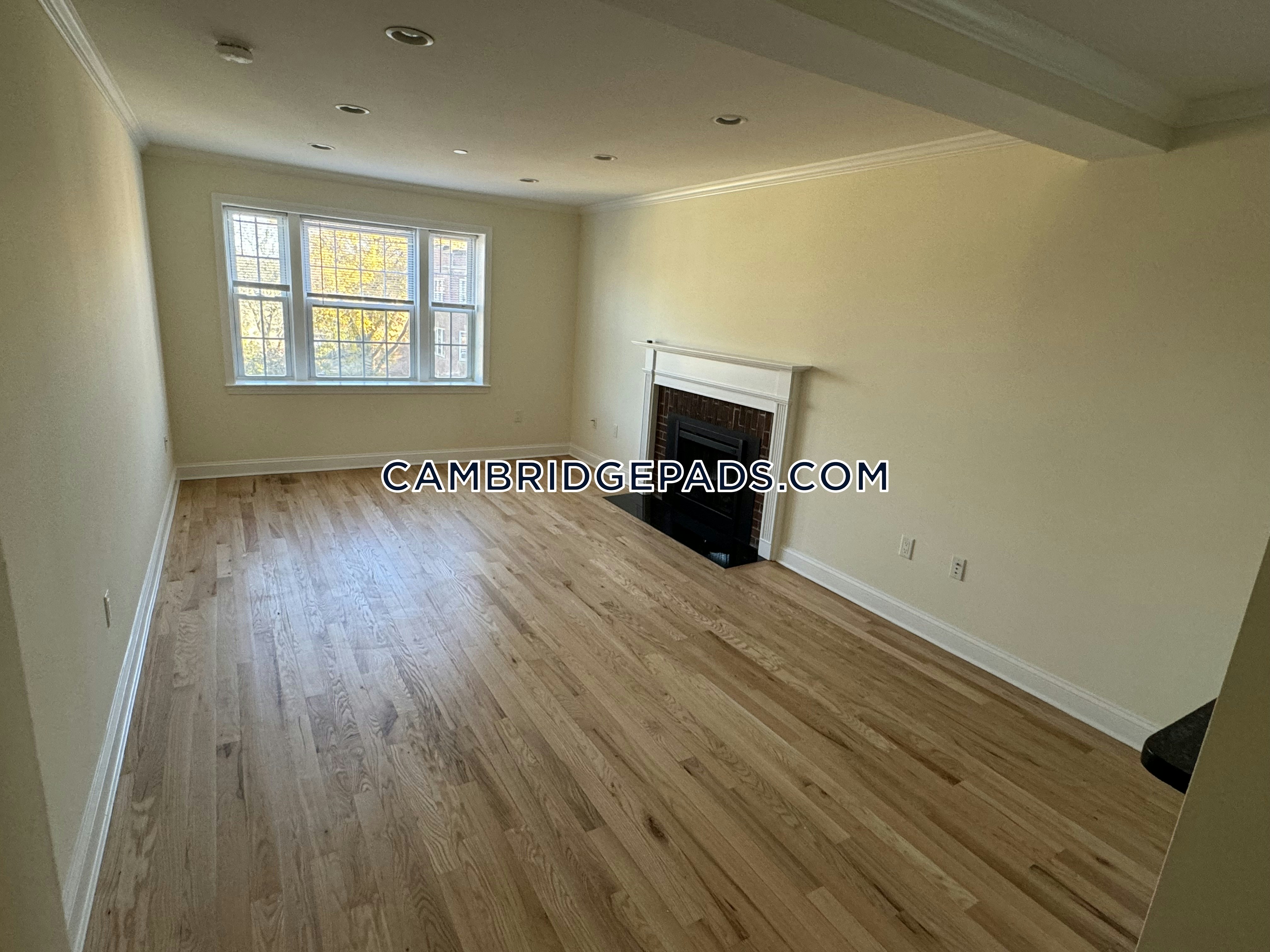 55 Langdon, Harvard Square