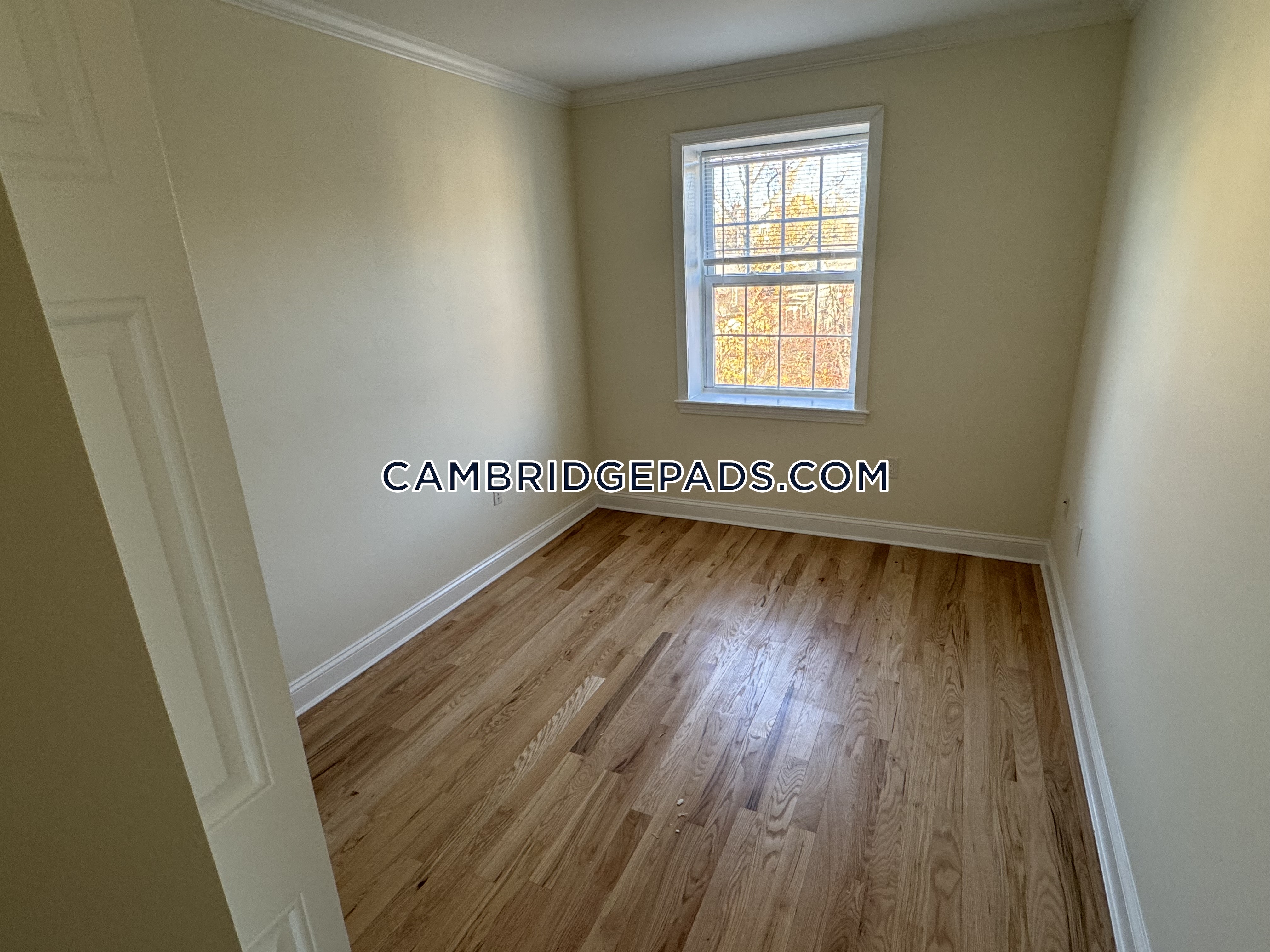 55 Langdon, Harvard Square