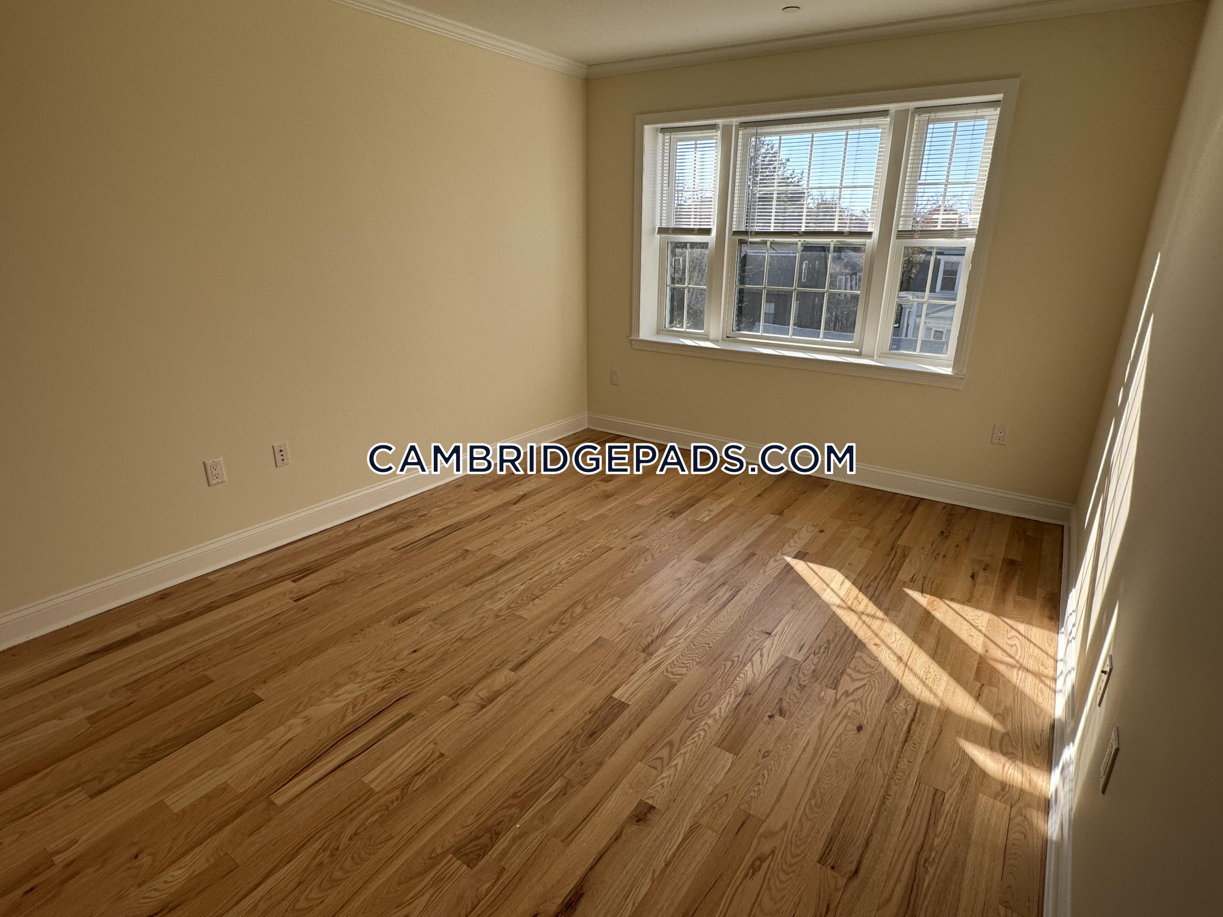 55 Langdon, Harvard Square