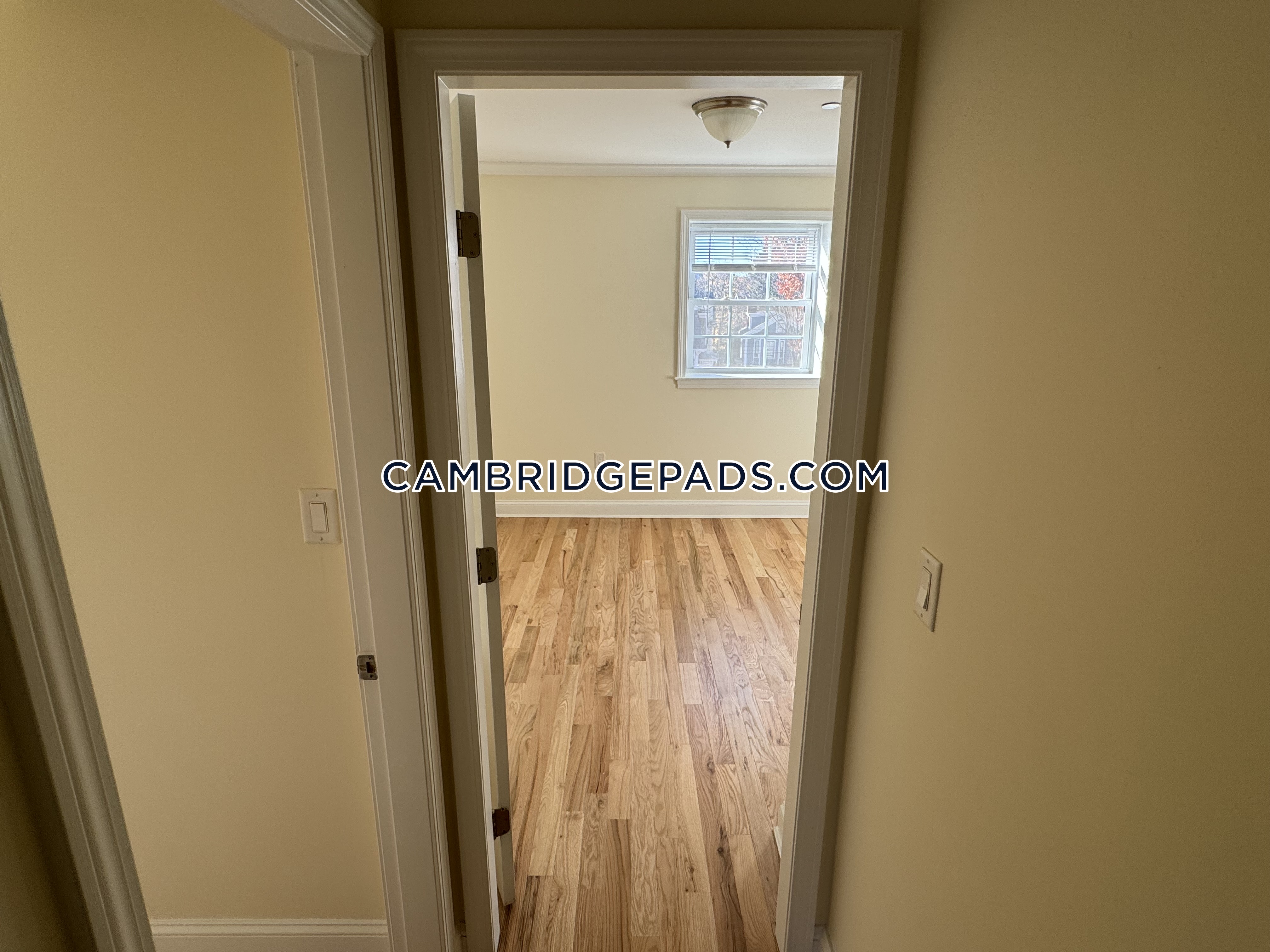 55 Langdon, Harvard Square