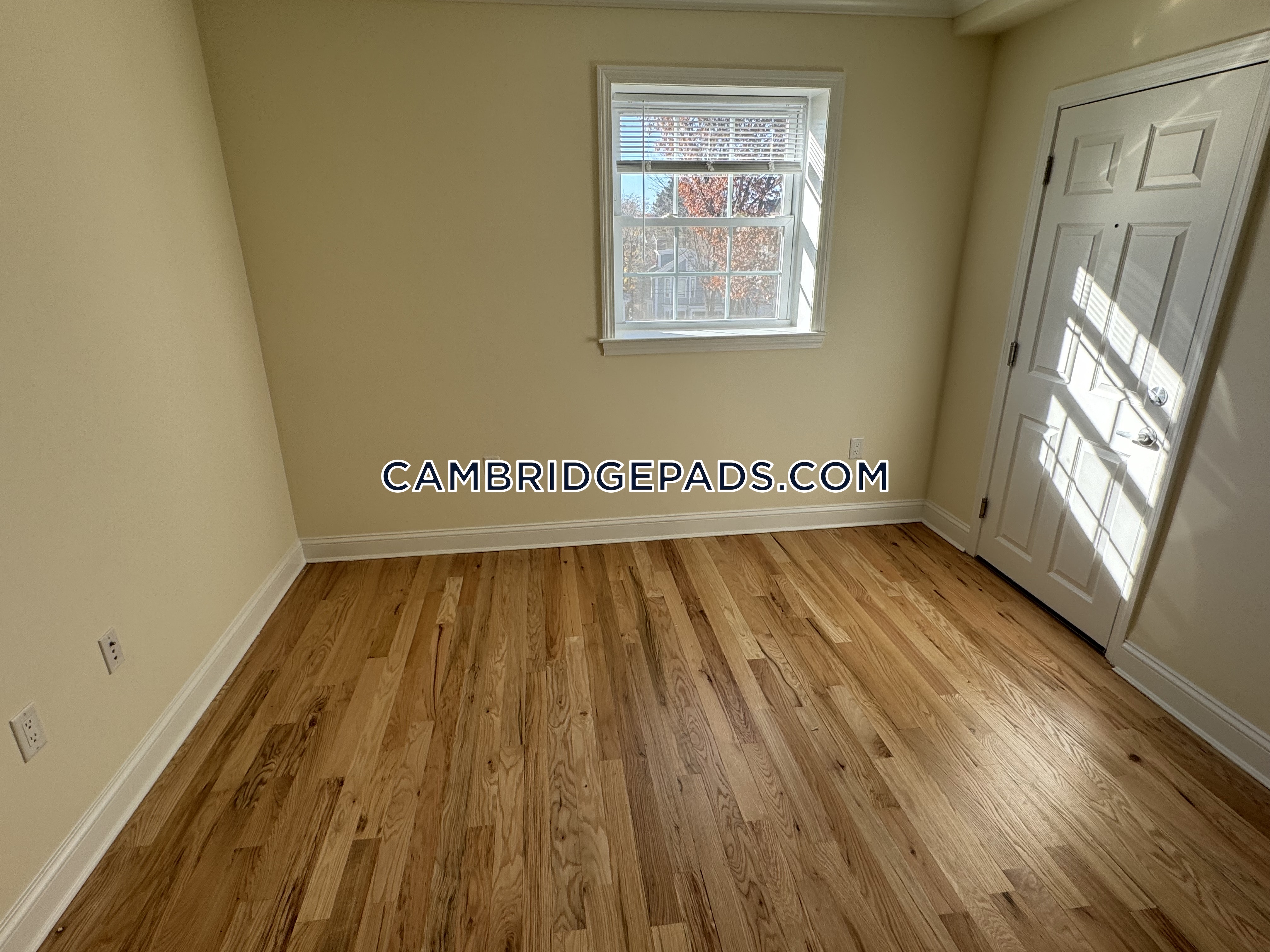 55 Langdon, Harvard Square