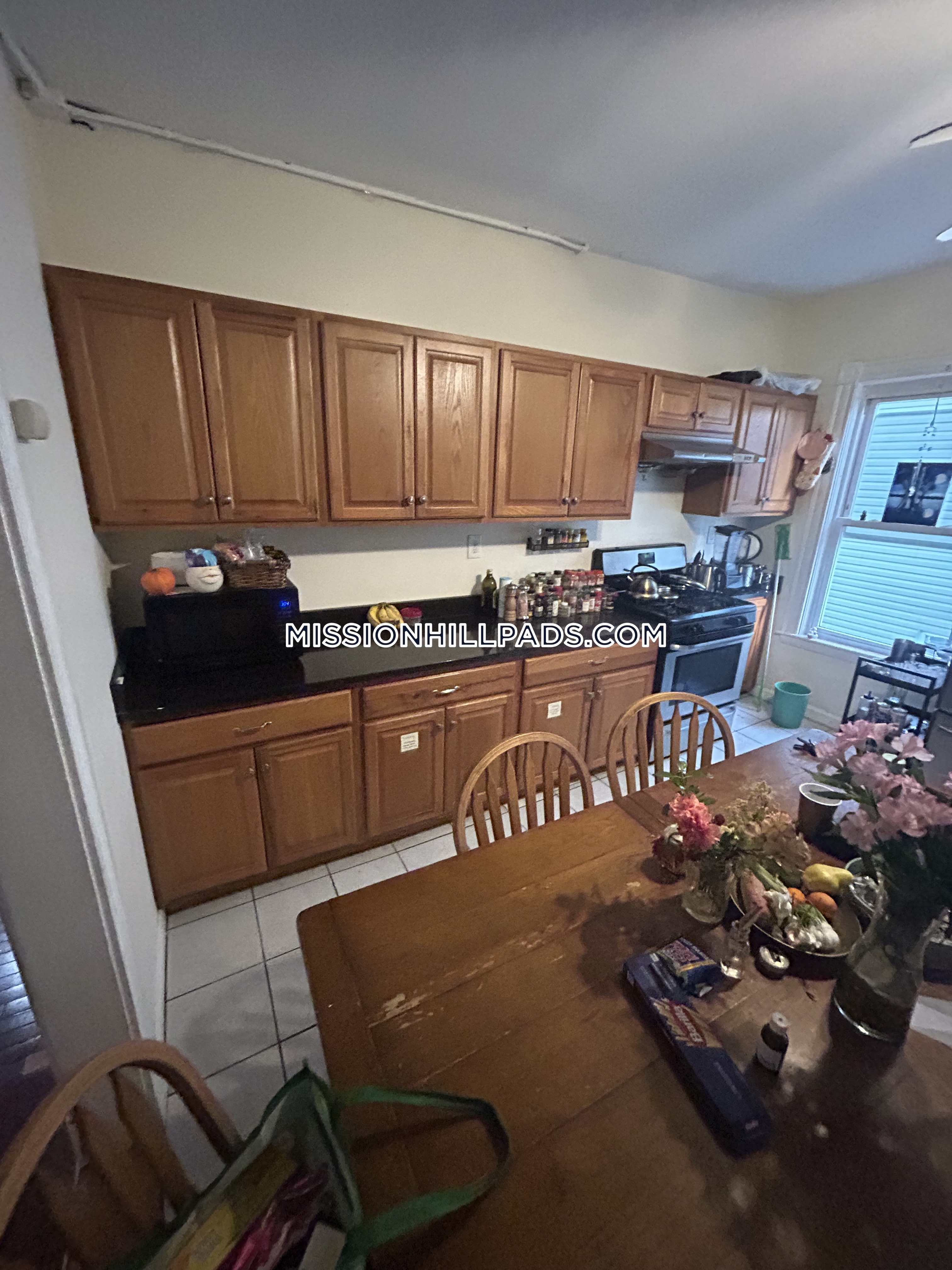 1 Sachem St, Mission Hill