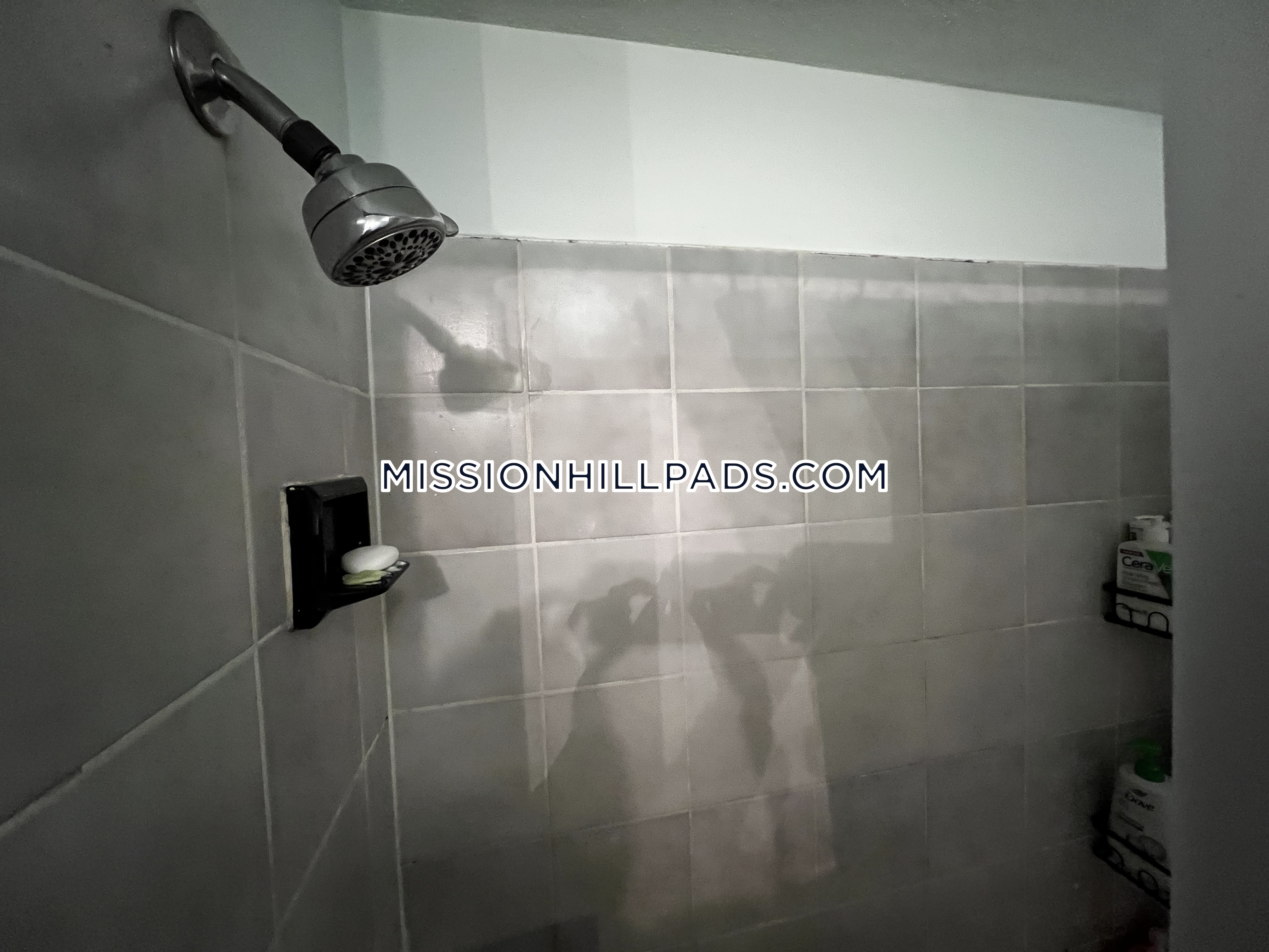 40 Hillside St, Mission Hill