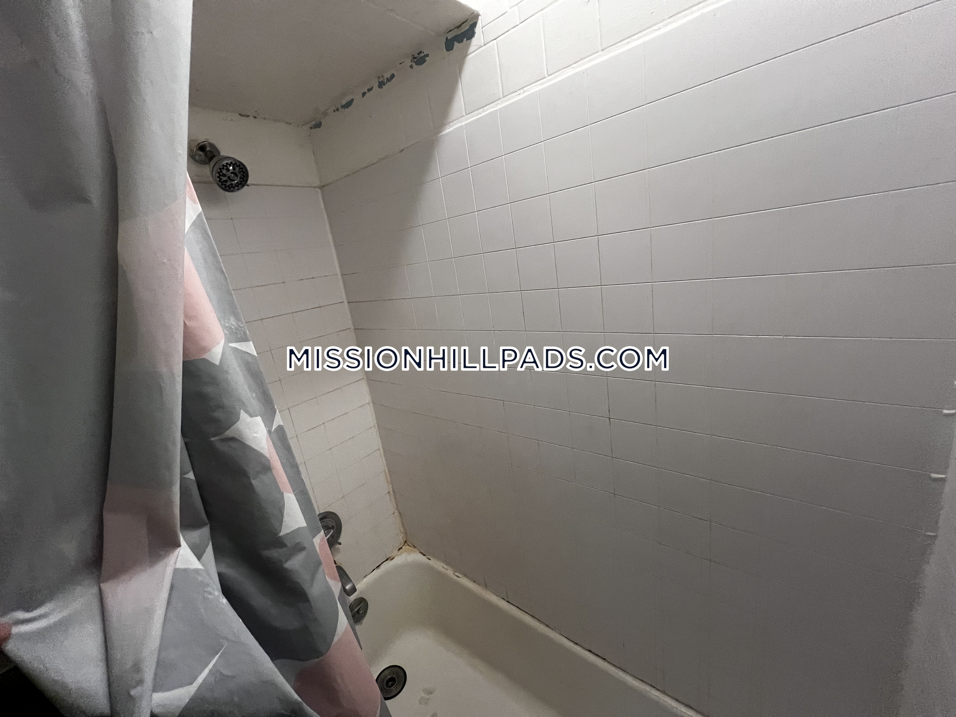 42 Hillside St, Mission Hill