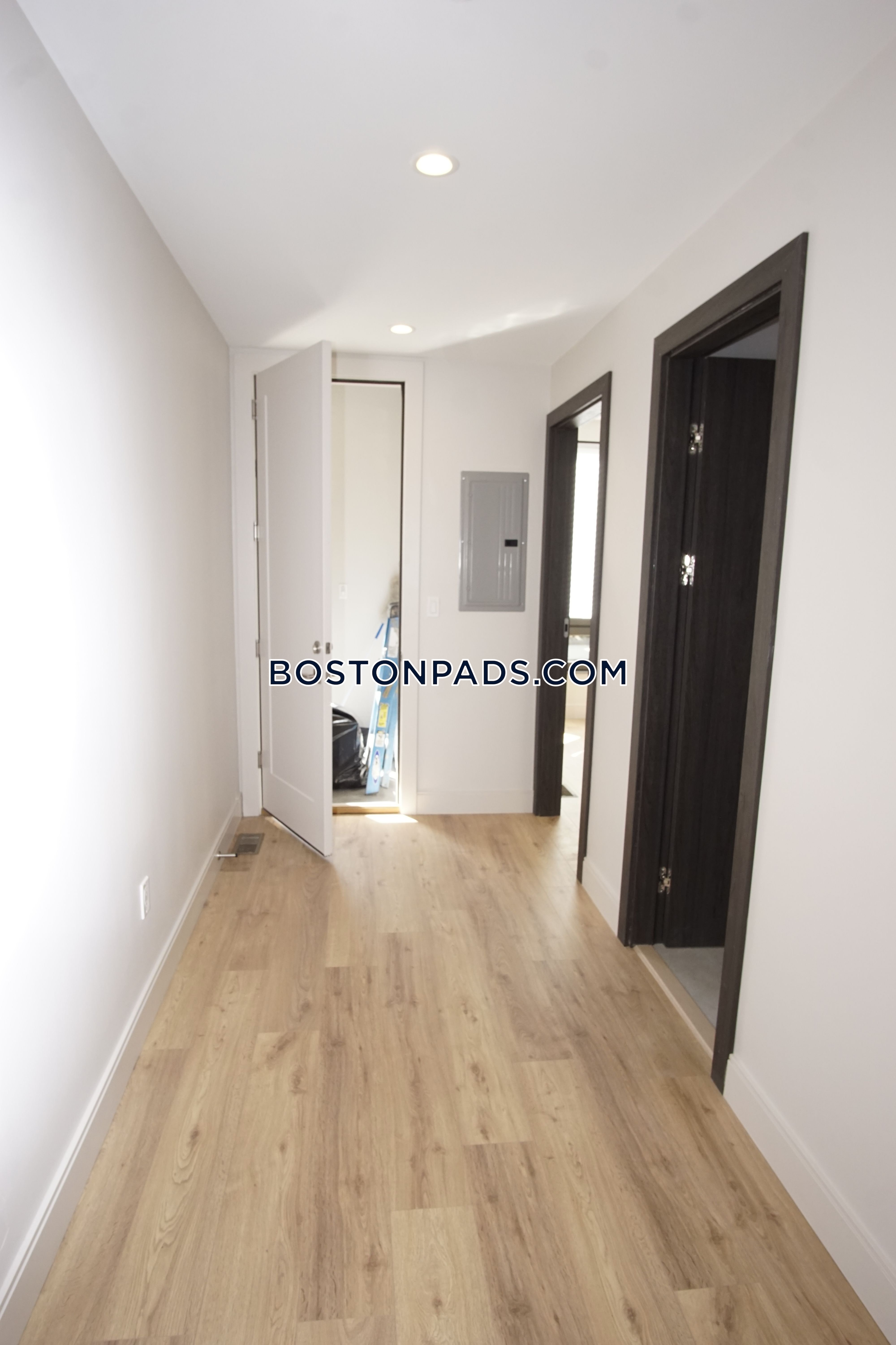 31 Buttonwood, Dorchester