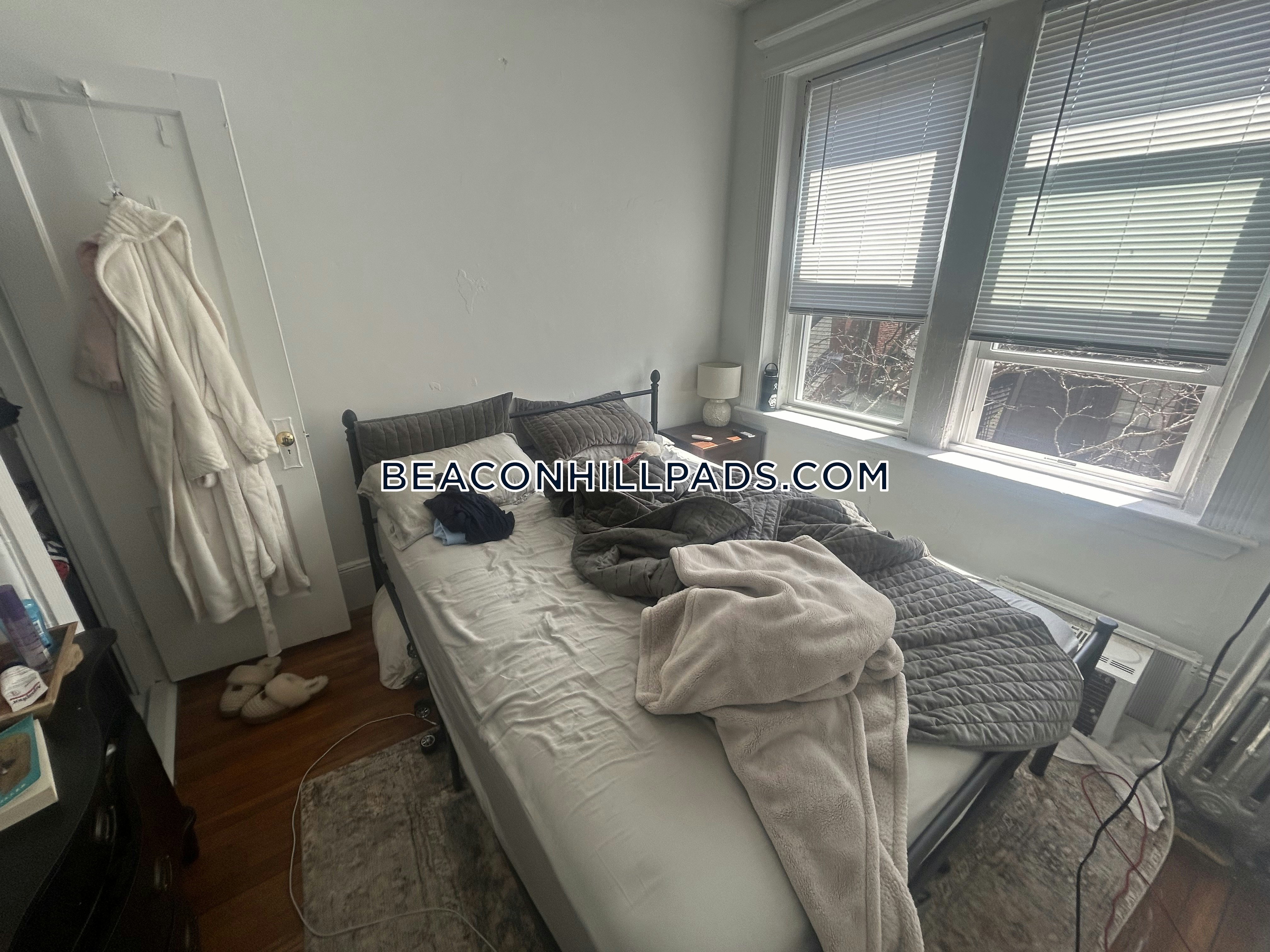 7 Myrtle St, Beacon Hill