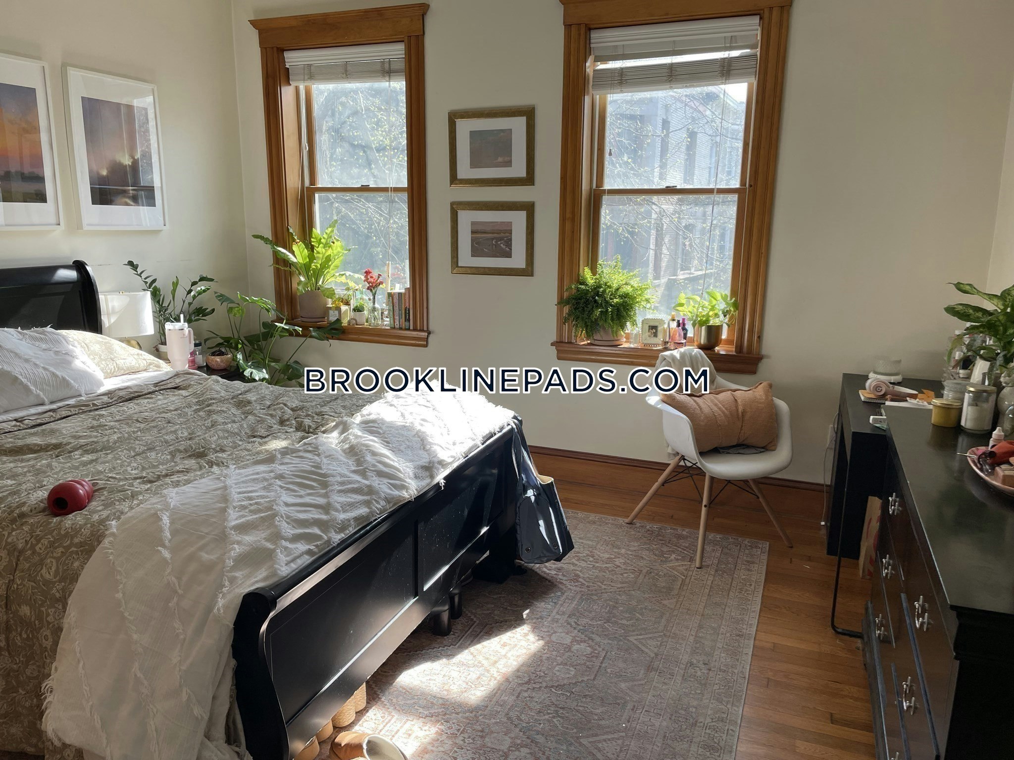 90 Browne St, North Brookline