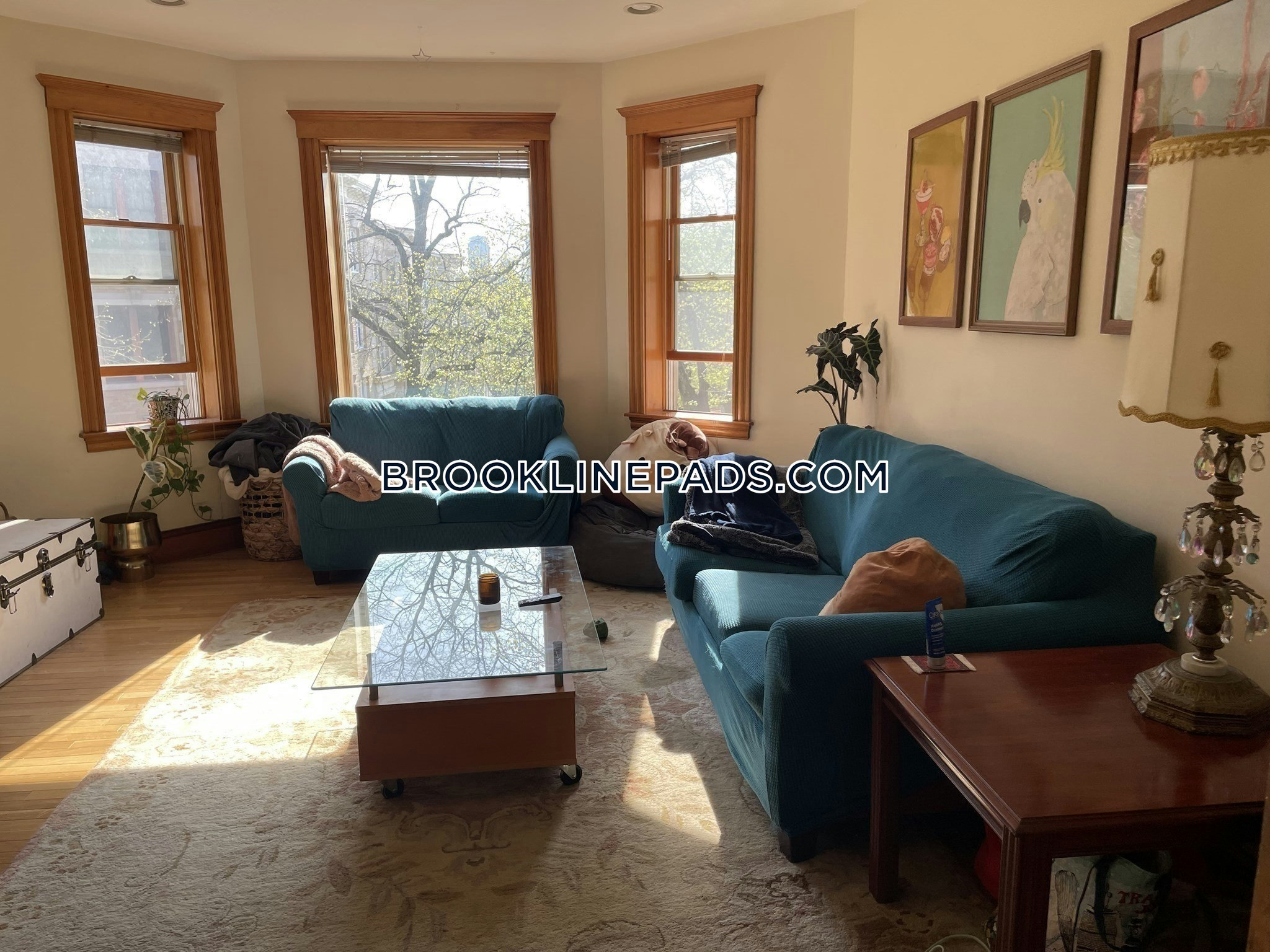 90 Browne St, North Brookline