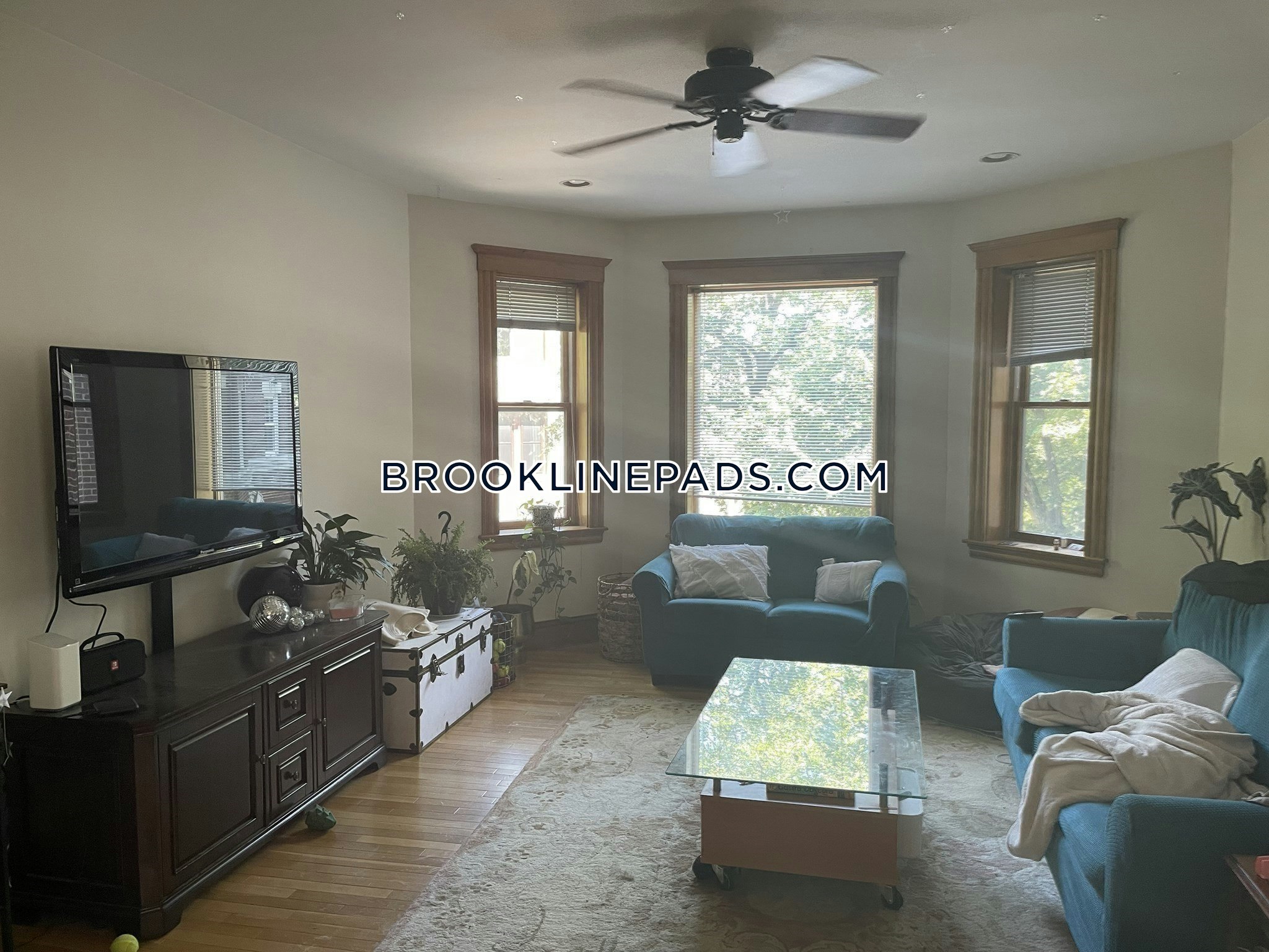 90 Browne St, North Brookline