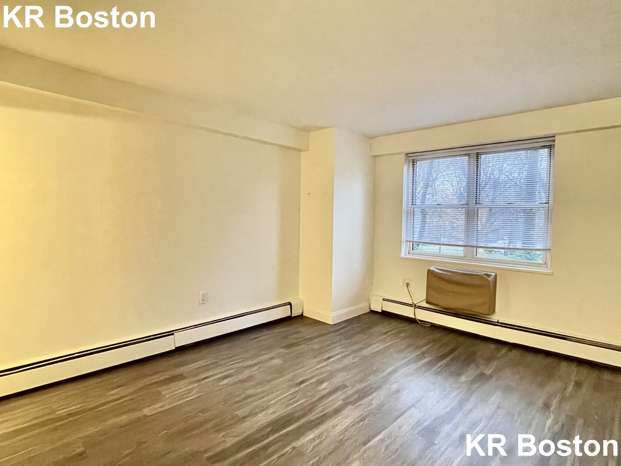 175 Freeman St, Coolidge Corner