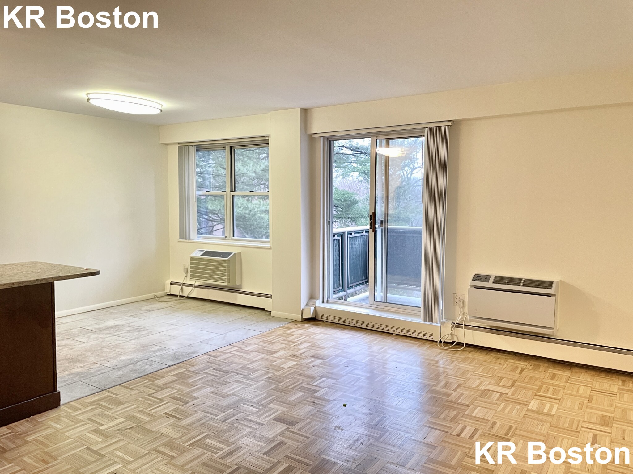 175 Freeman St, Coolidge Corner