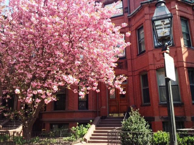 178 Marlborough St, Back Bay