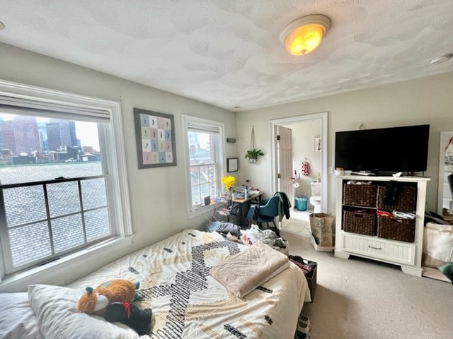 10 Harris St, North End